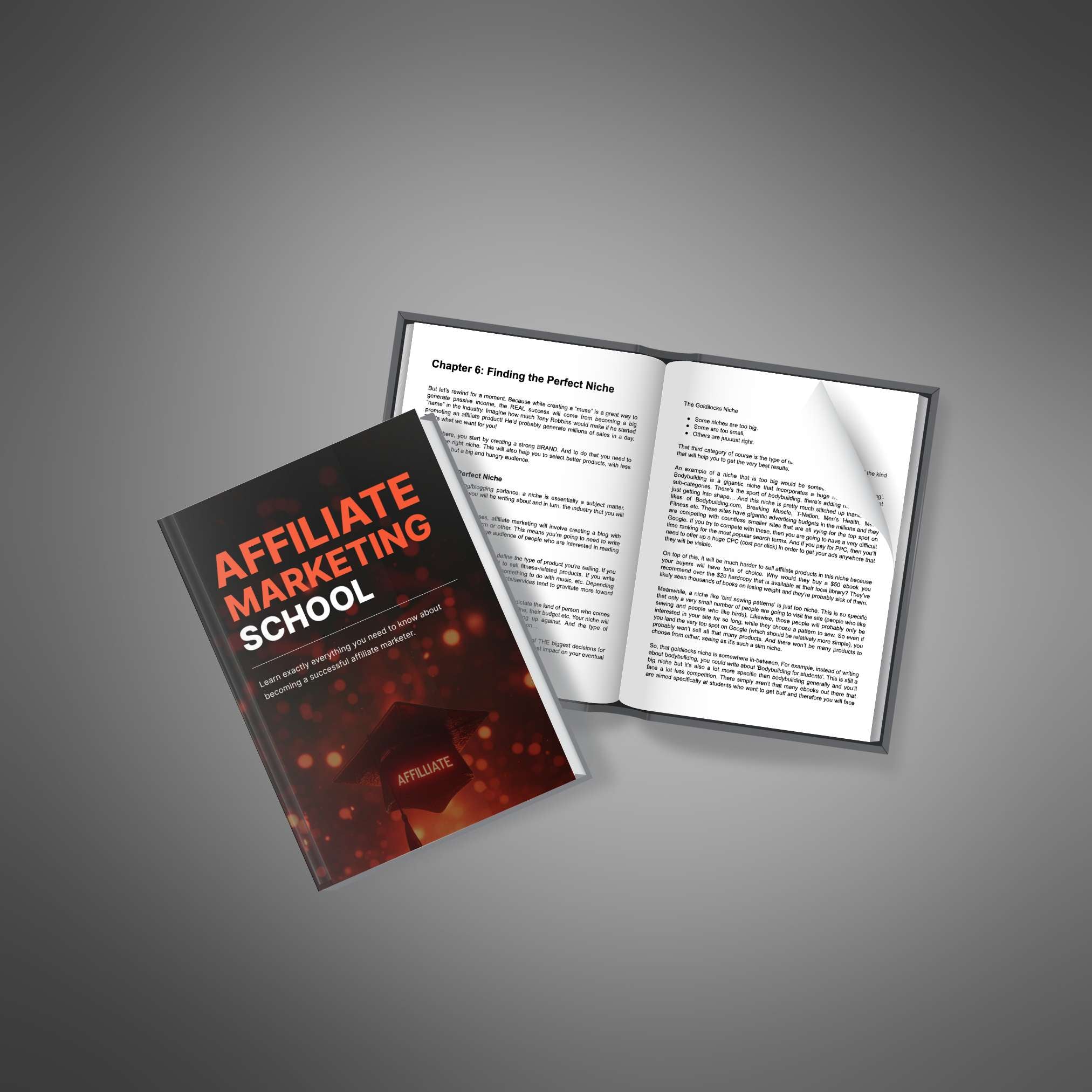 Skillboomer Affiliate Marketing School