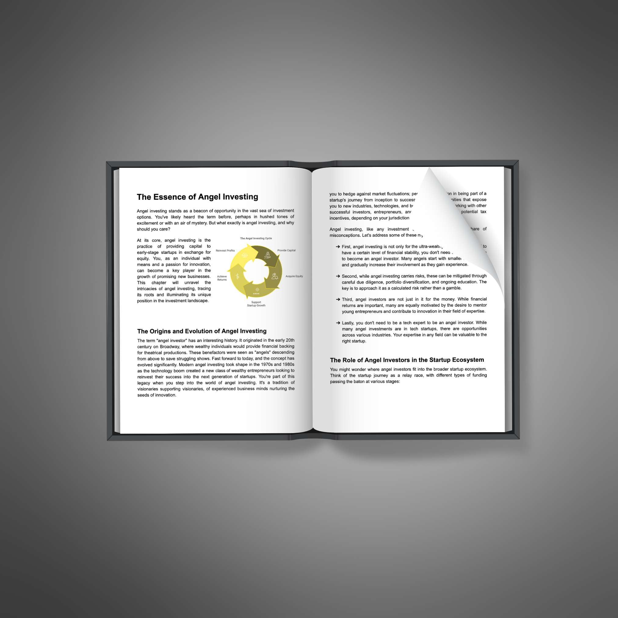 Skillboomer Angel Investing - Ebook