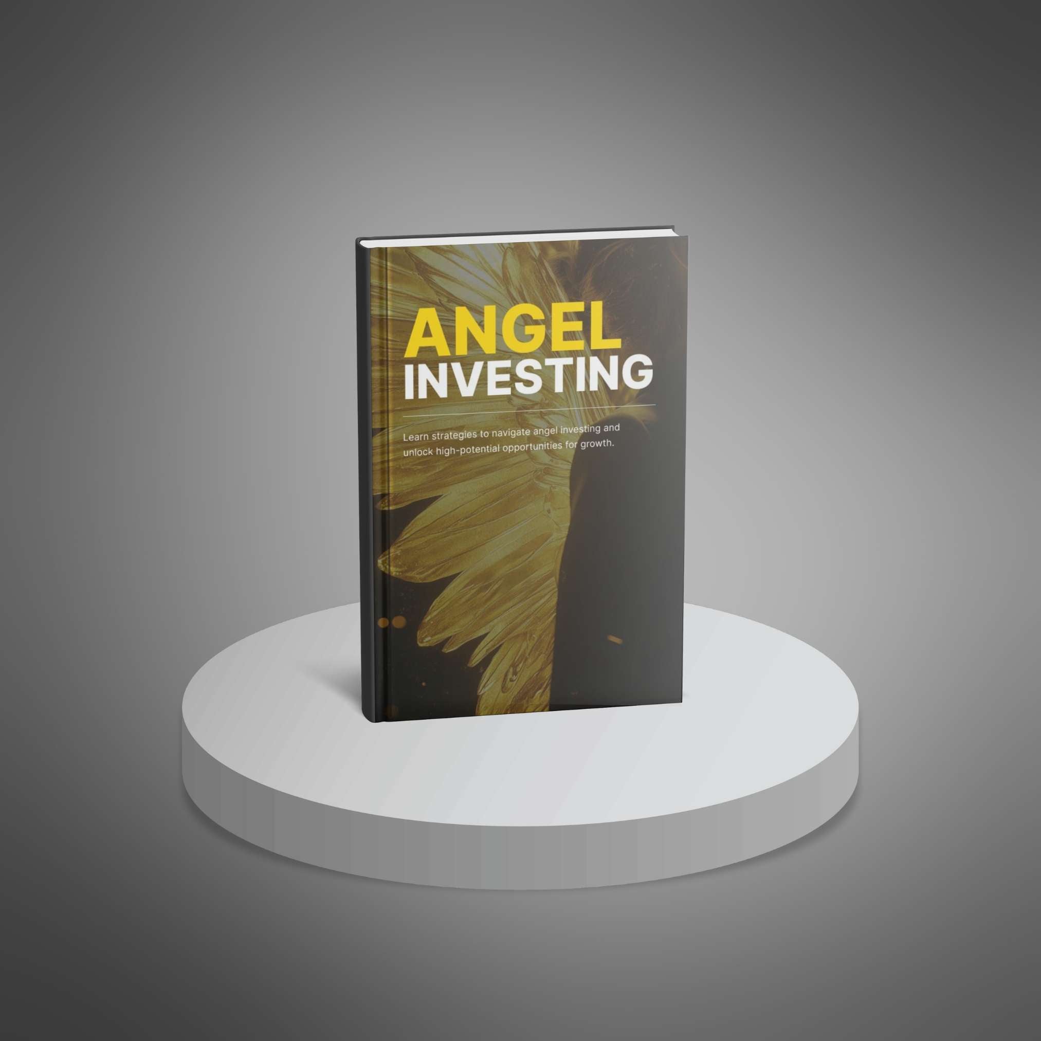 Skillboomer Angel Investing - Ebook