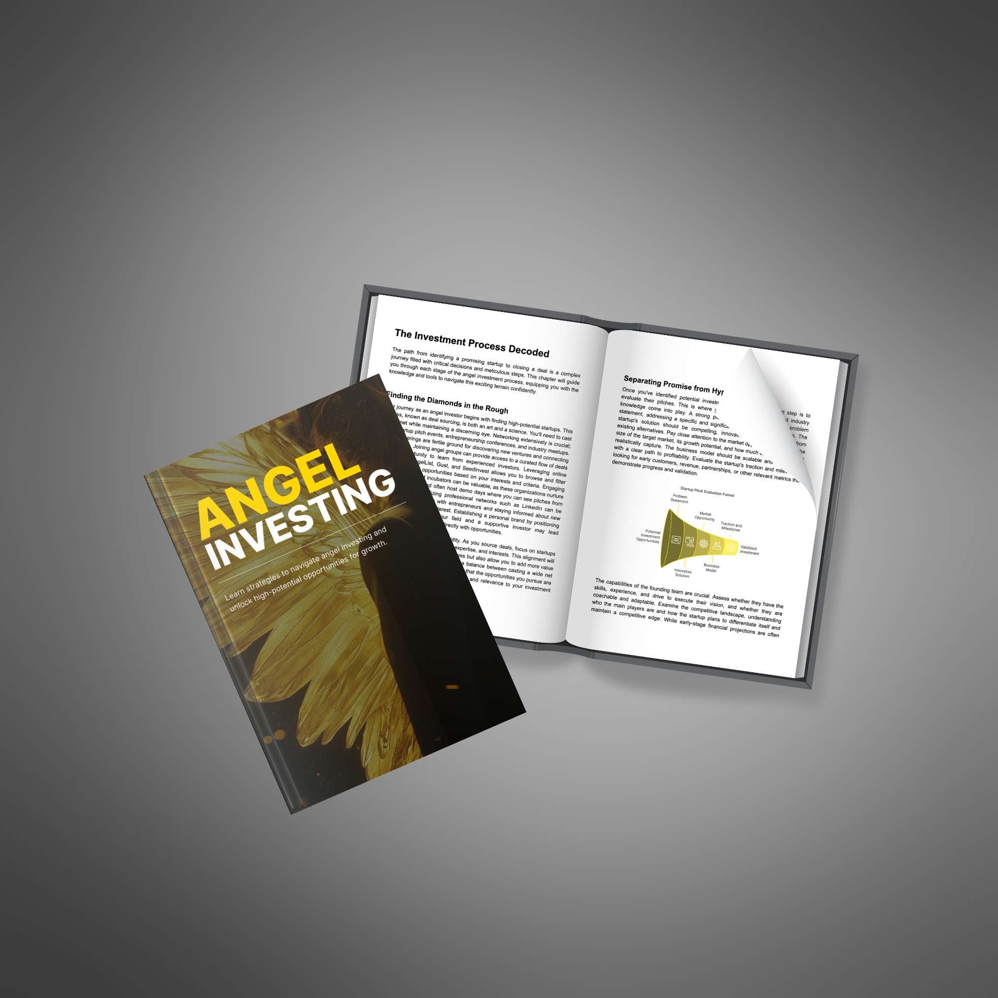 Skillboomer Angel Investing - Ebook