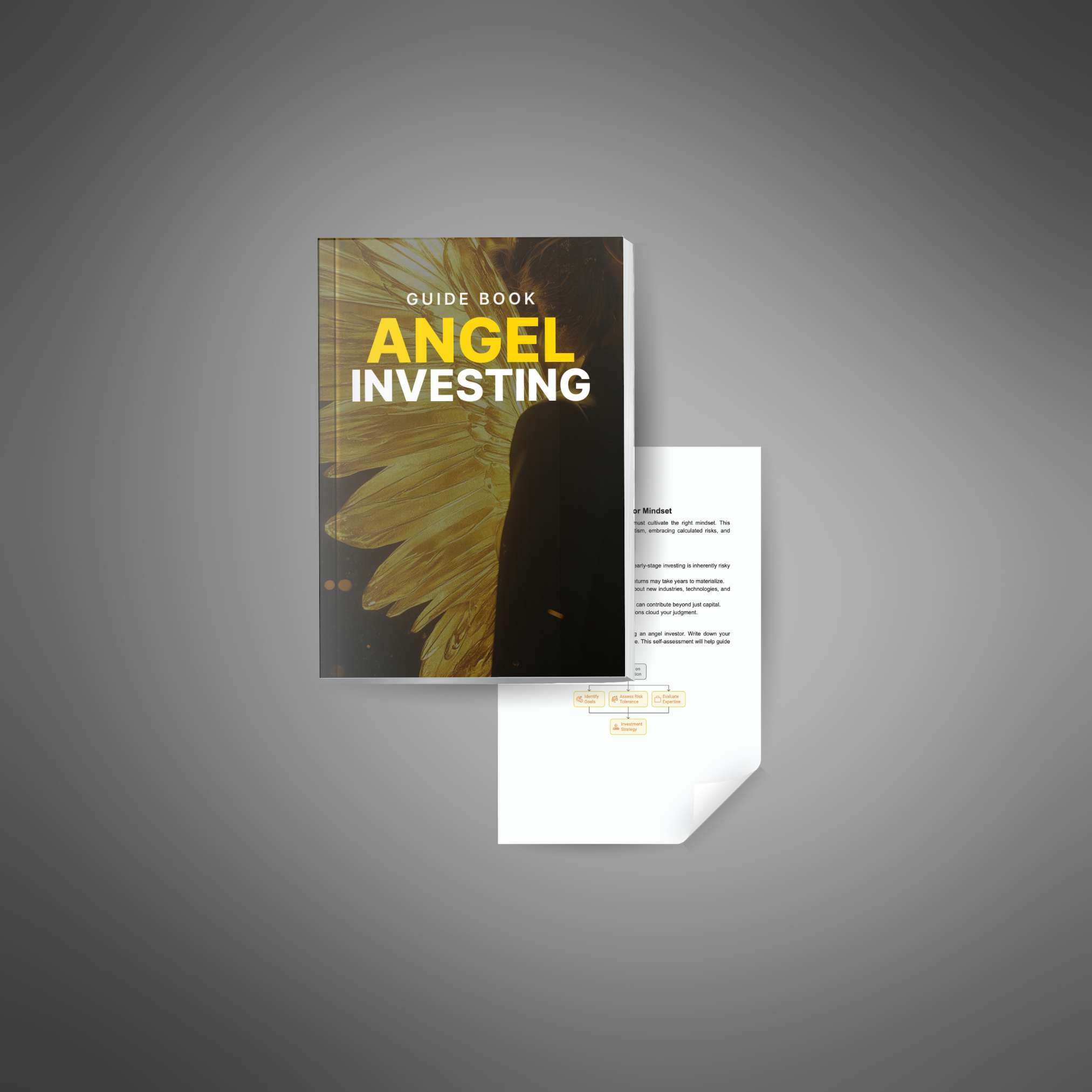 Skillboomer Angel Investing - Guide