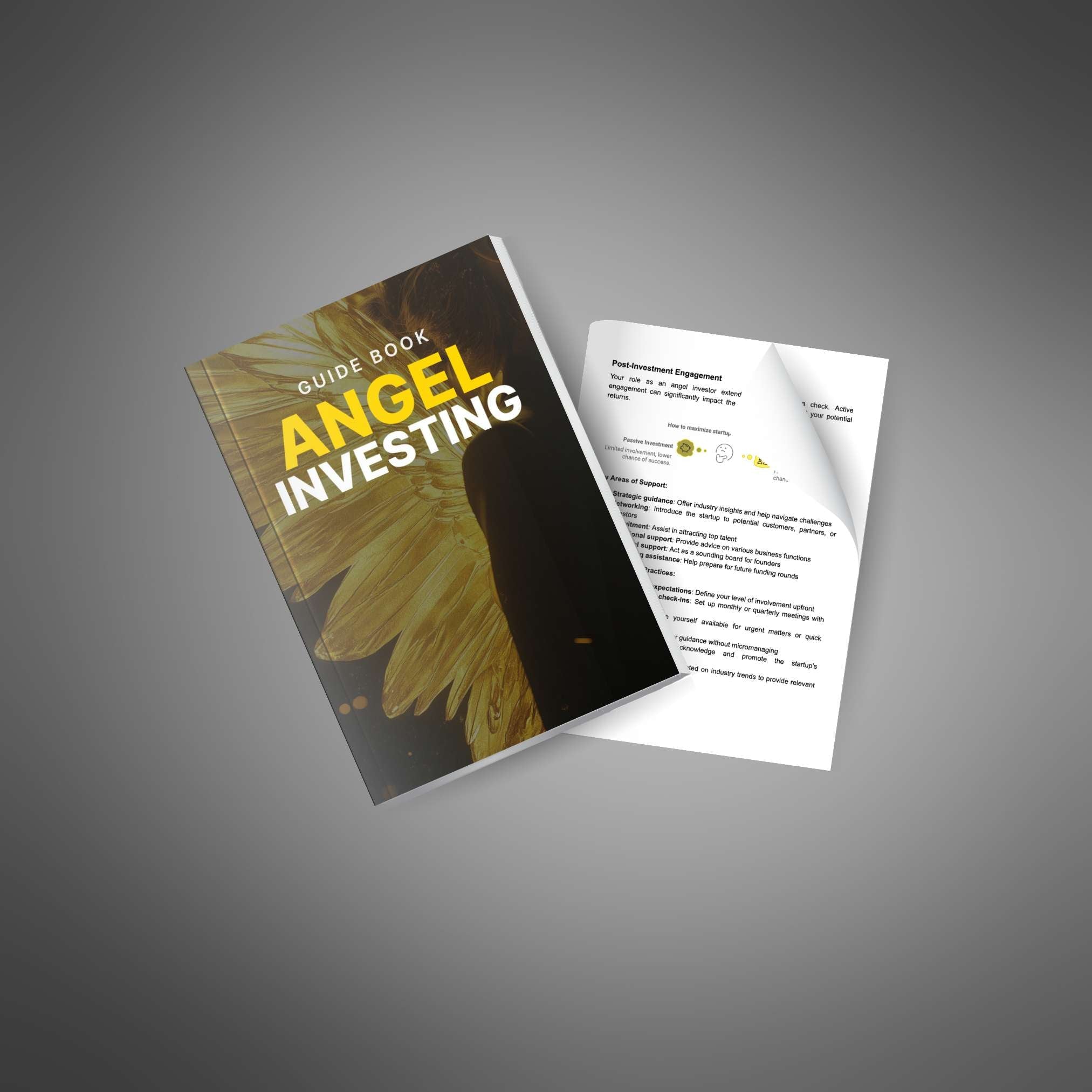 Skillboomer Angel Investing - Guide