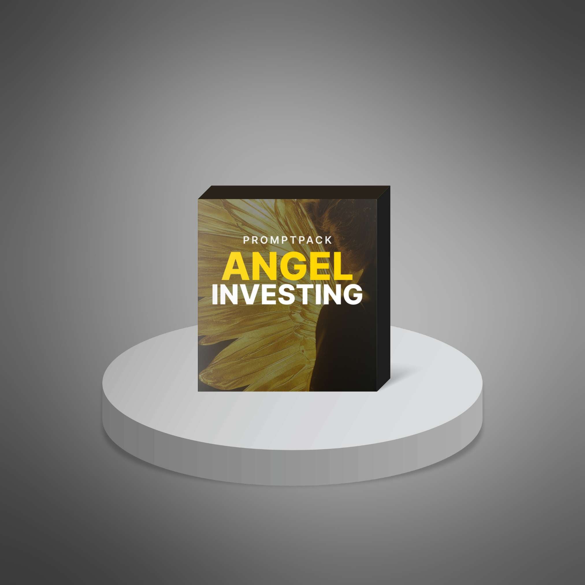 Skillboomer Angel Investing - Prompts