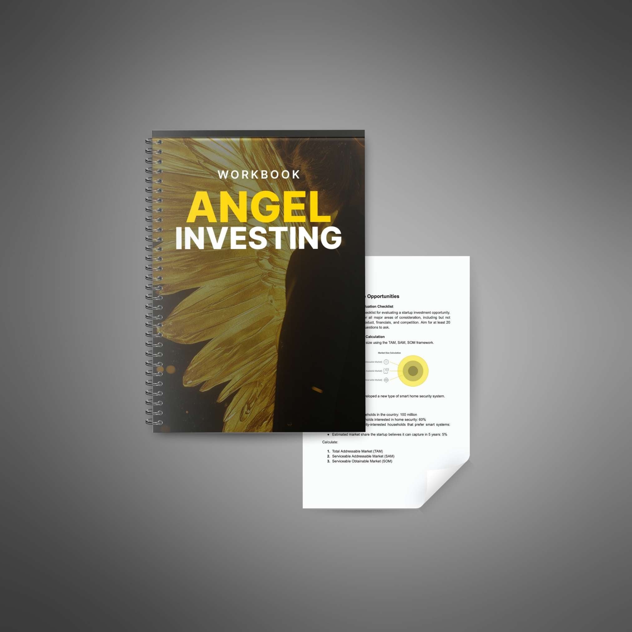 Skillboomer Angel Investing - Workbook