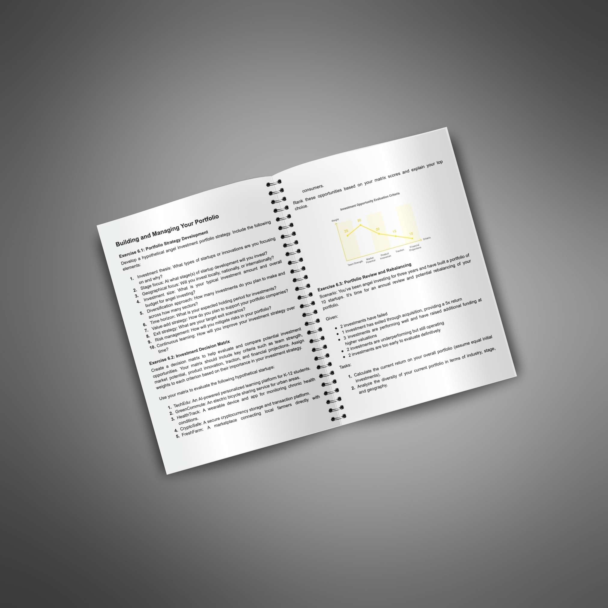 Skillboomer Angel Investing - Workbook