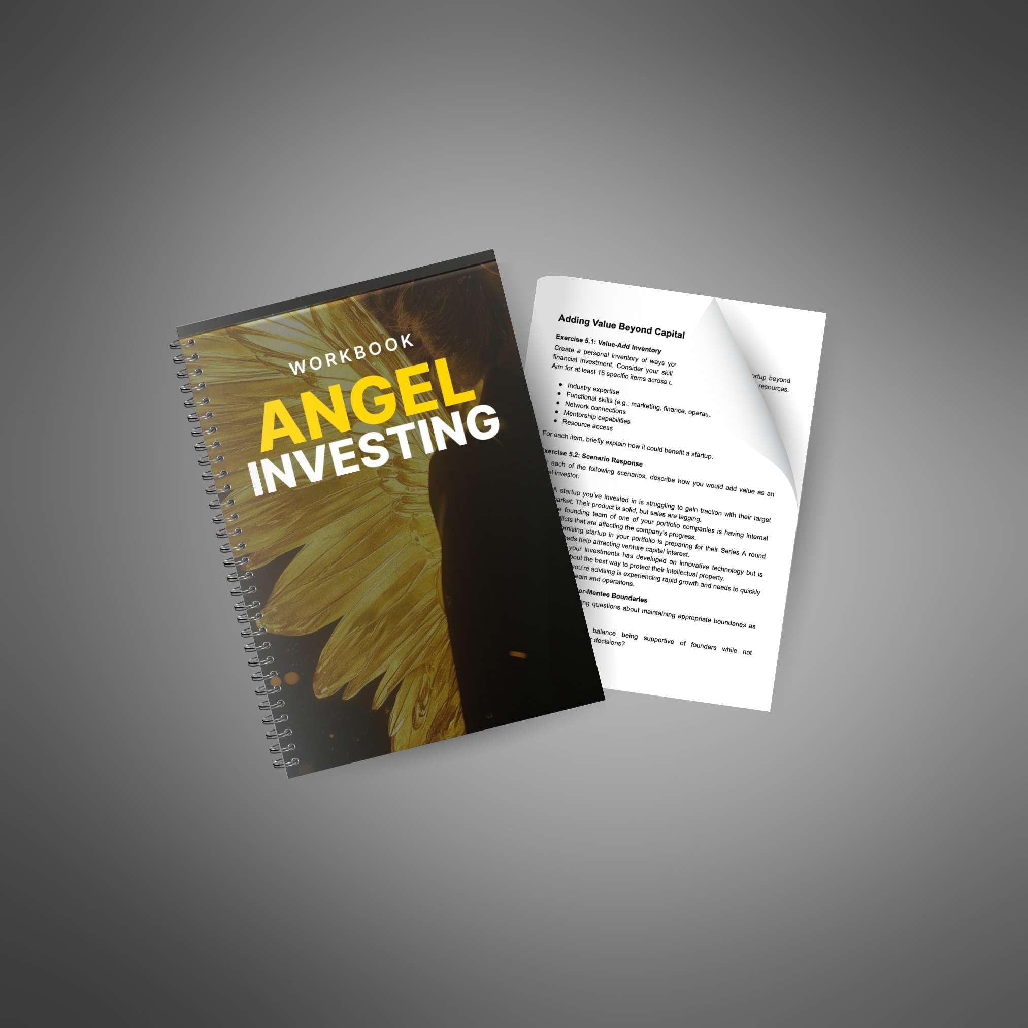 Skillboomer Angel Investing - Workbook