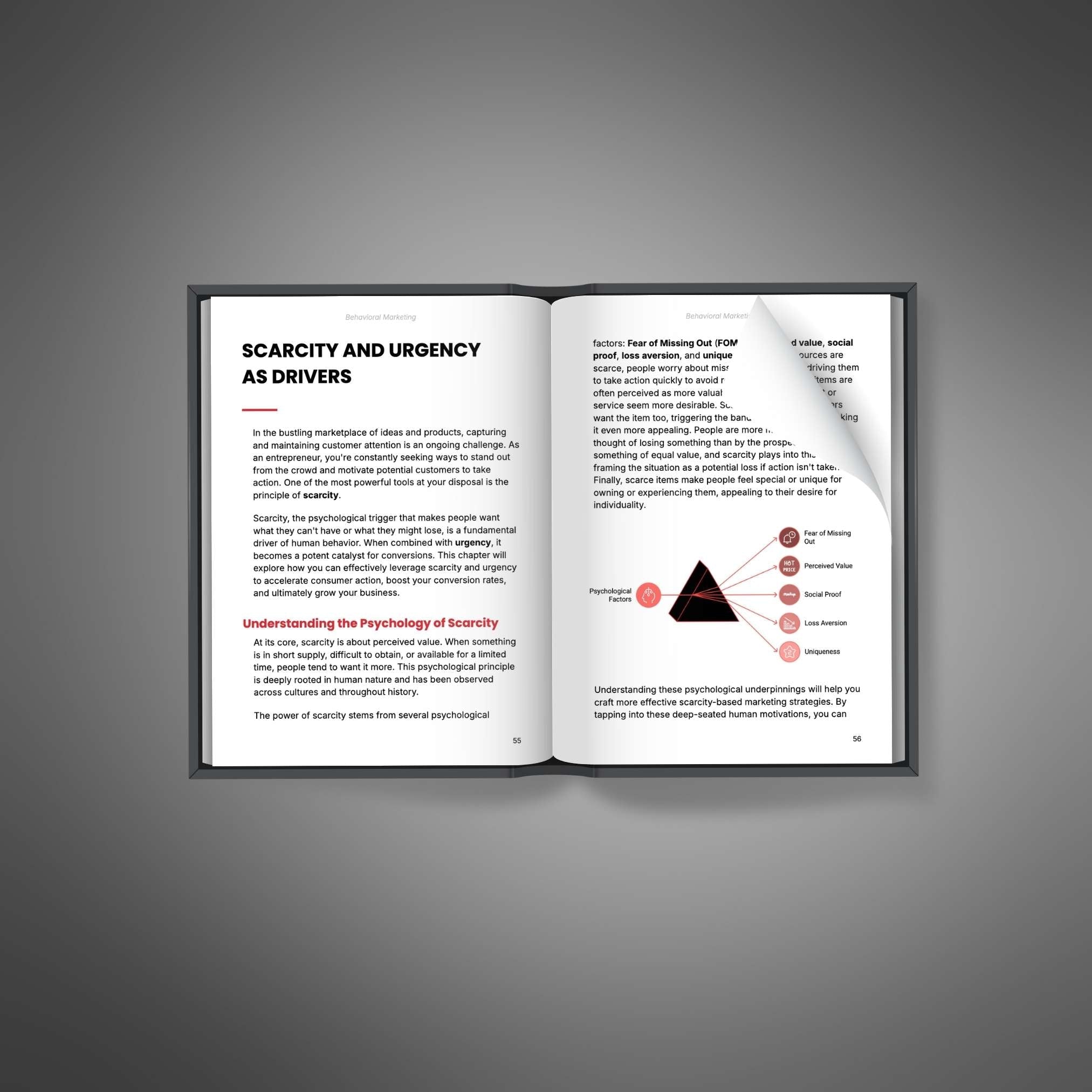 Skillboomer Behavioral Marketing - Ebook