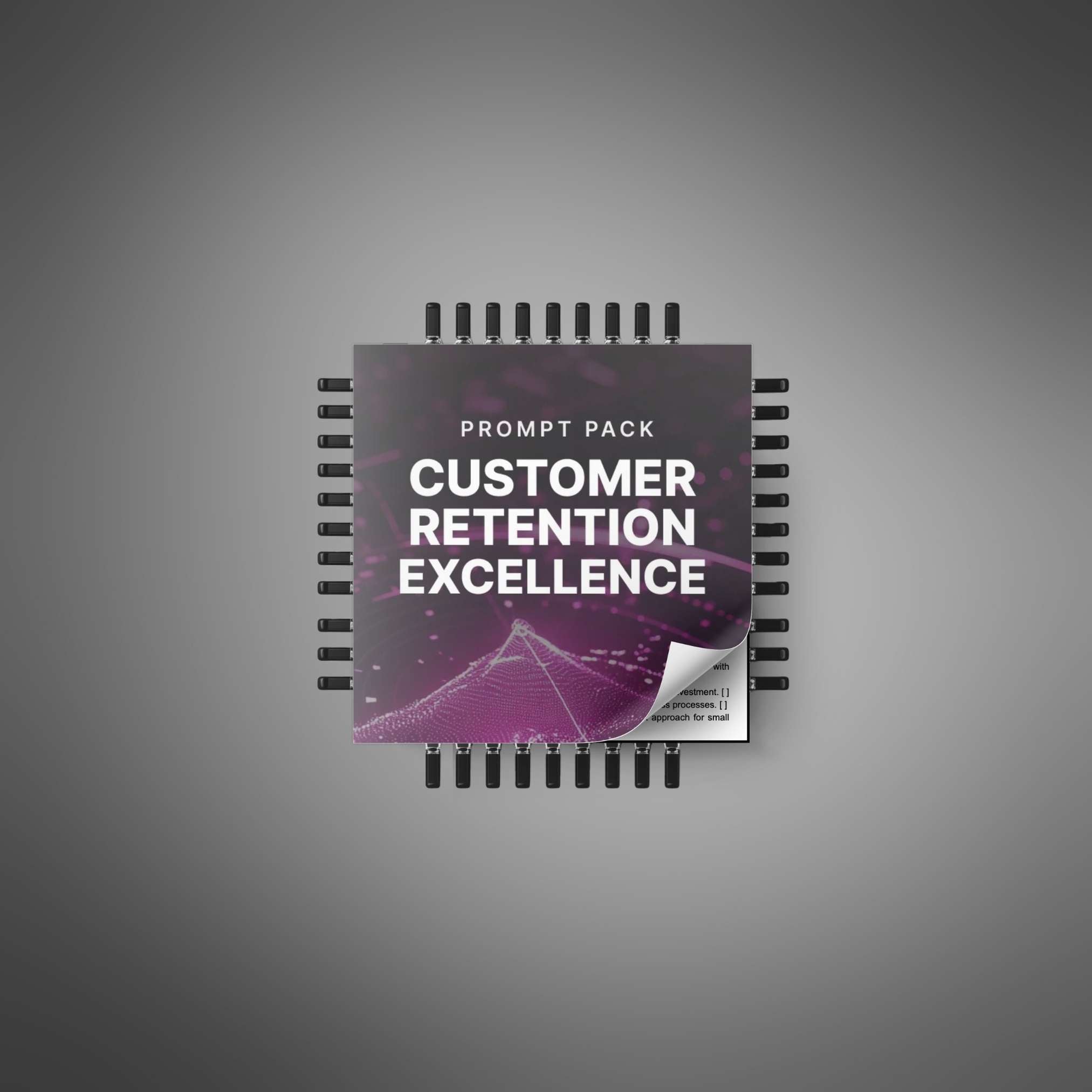 Skillboomer Customer Retention Excellence