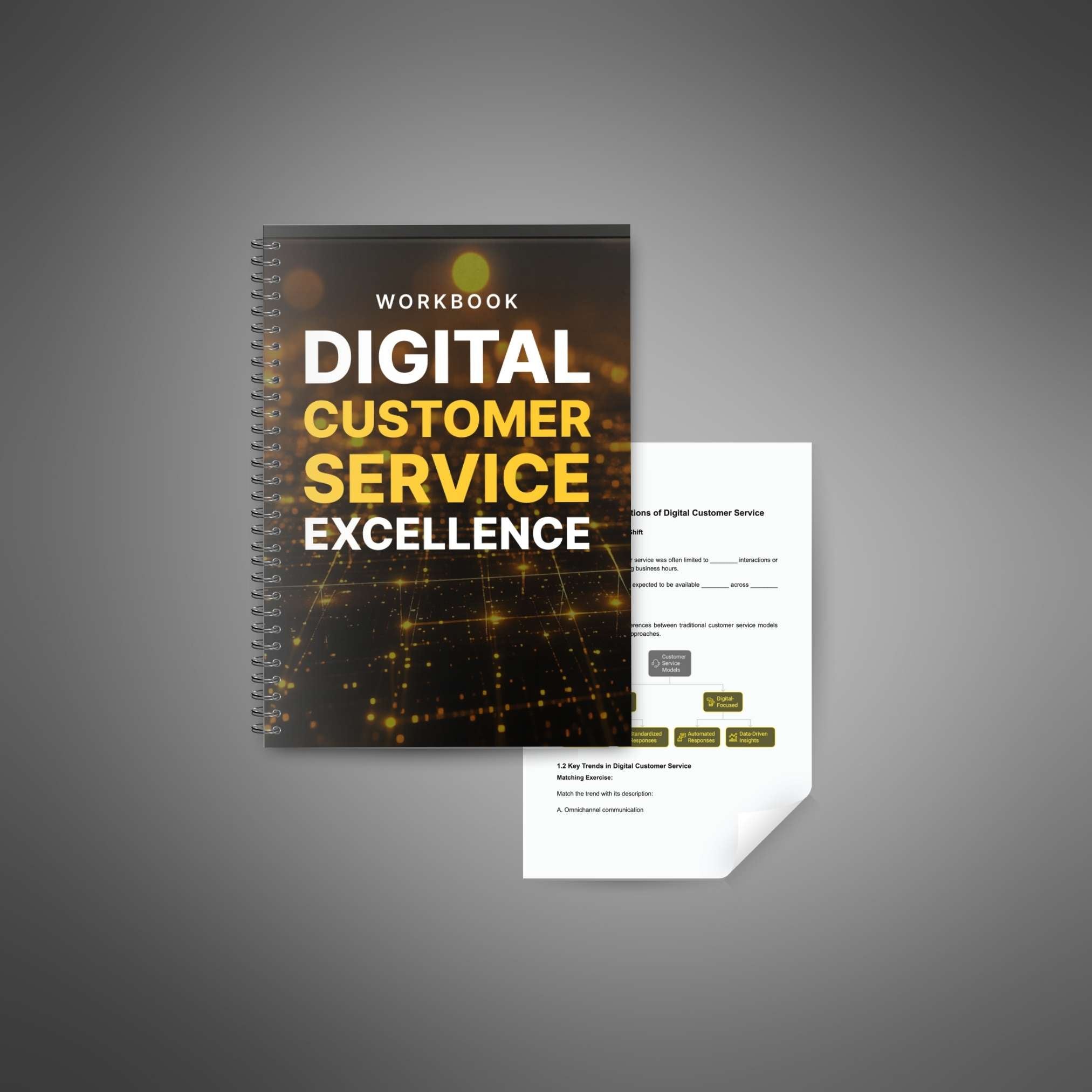 Skillboomer Digital Customer Service Excellence - Workbook