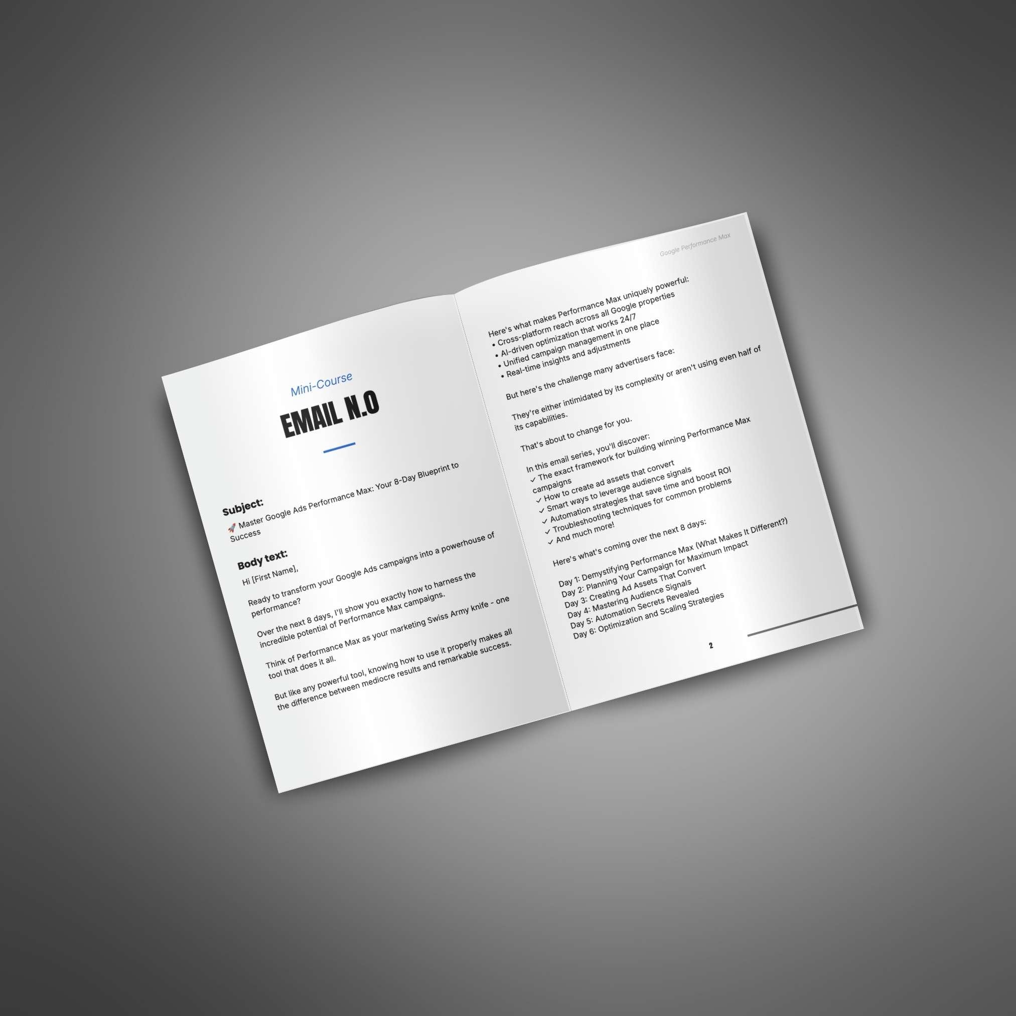 Skillboomer 8 Days to Dominate Performance Max Campaigns