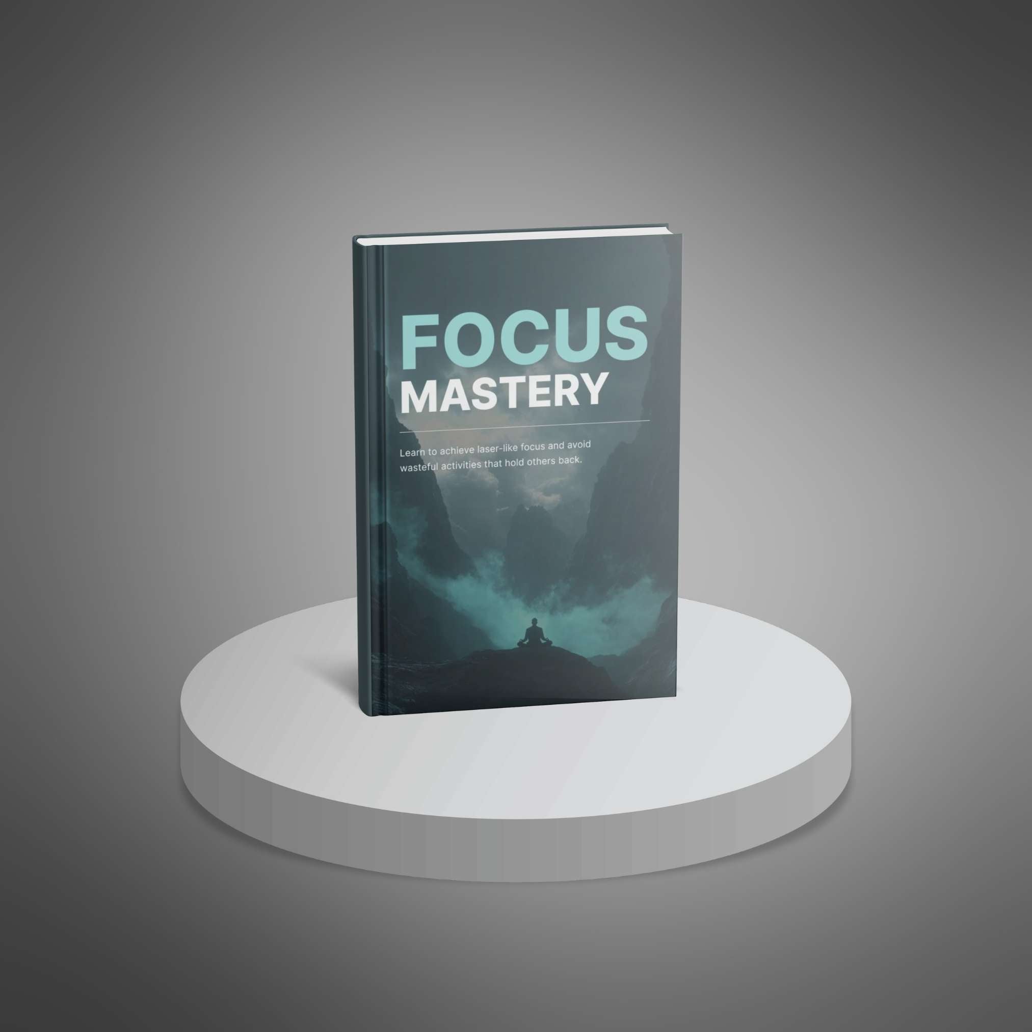 Skillboomer Focus Mastery