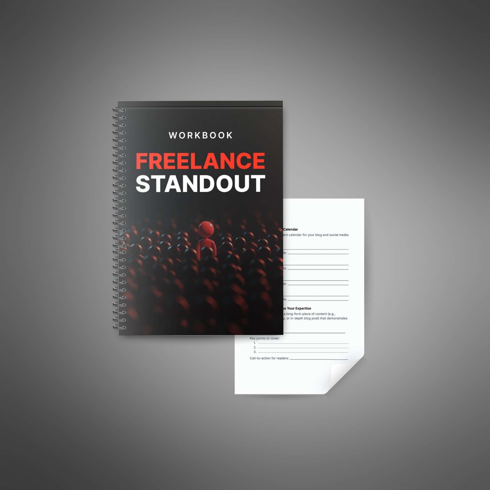 Skillboomer Freelance Standout - Workbook