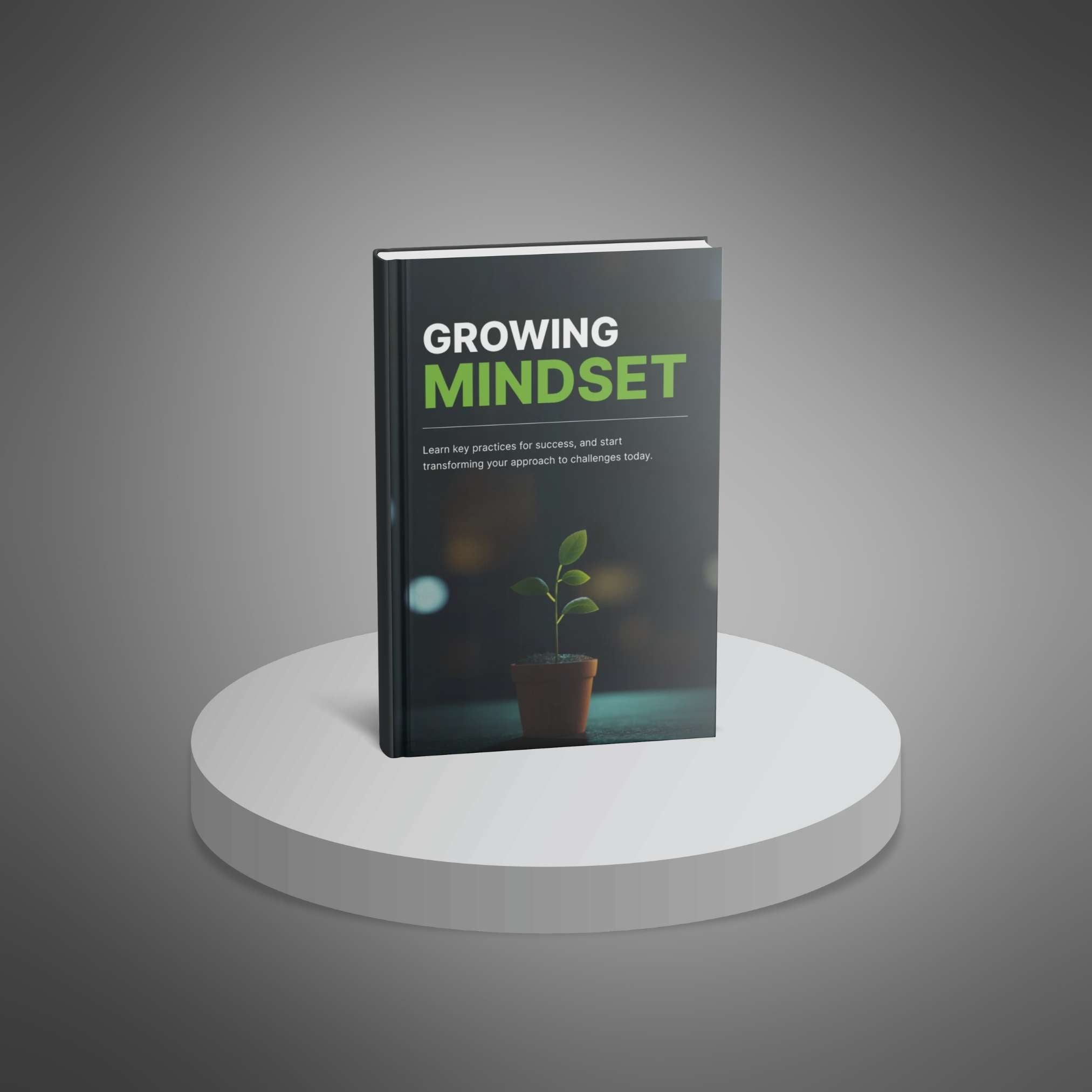 Skillboomer Growing Mindset