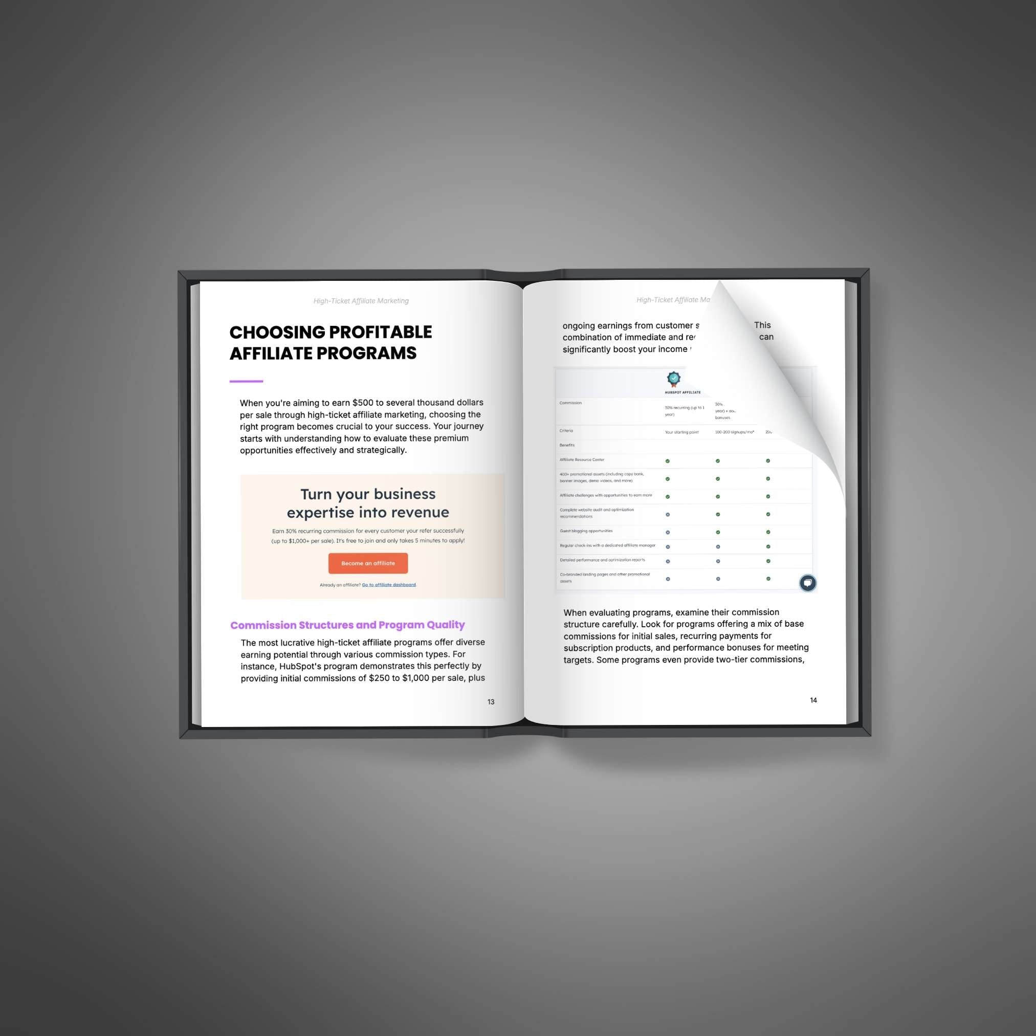 Skillboomer High-Ticket Affiliate Marketing - Ebook