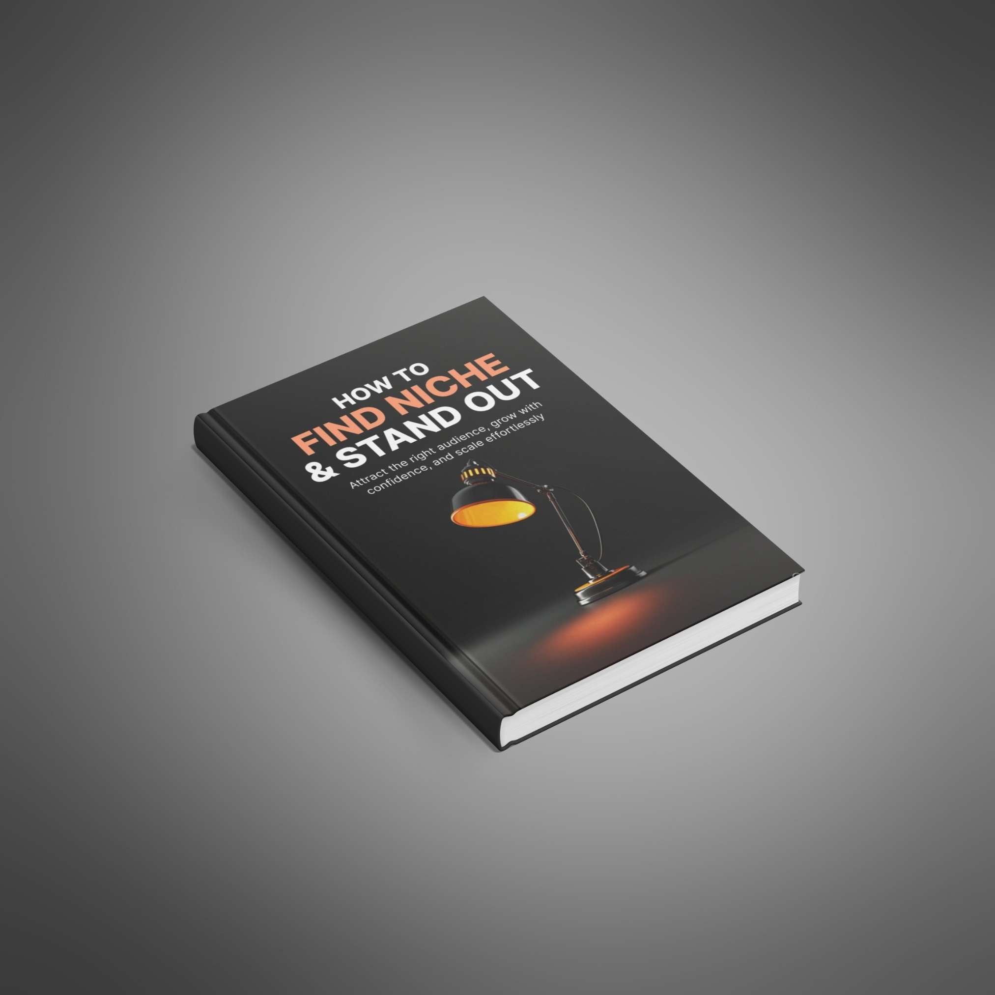 Skillboomer How to Find Niche and Stand Out