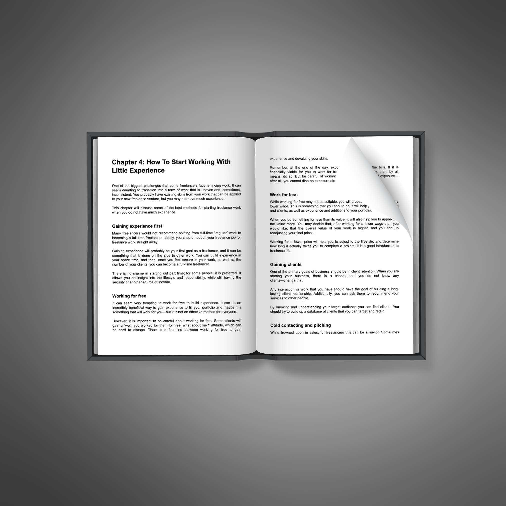 Skillboomer How to Start a Freelance Business