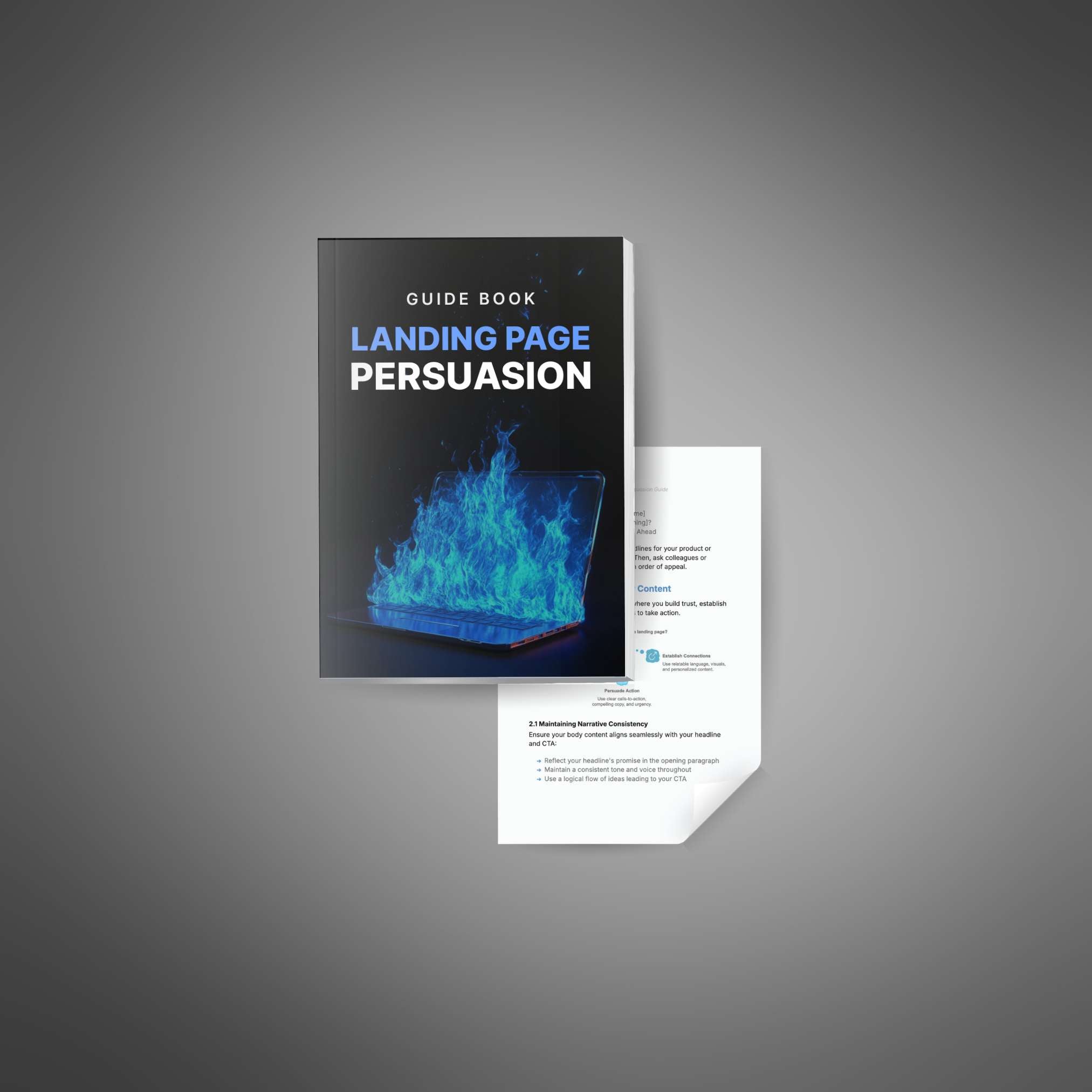 Skillboomer Landing Page Persuasion - Guide