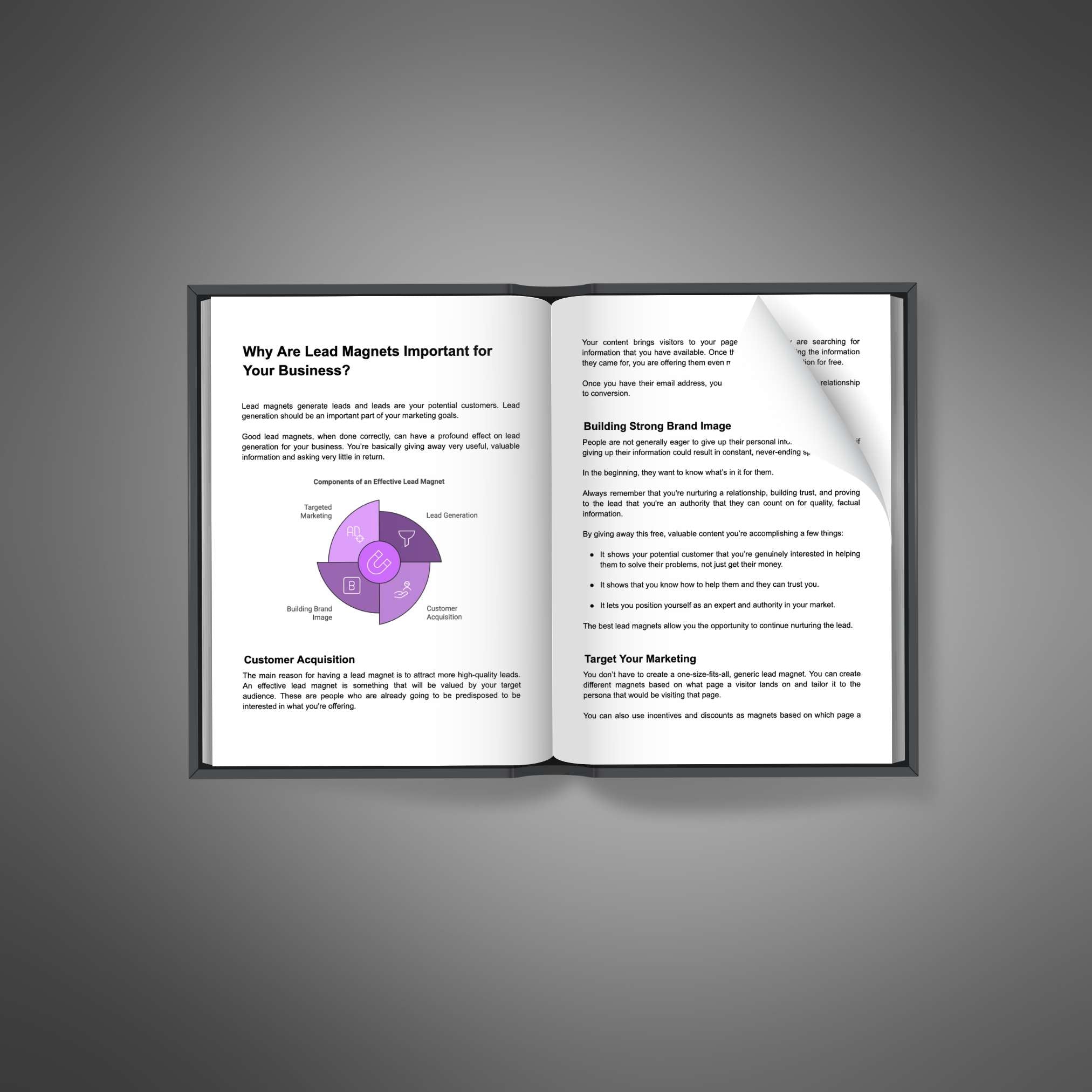 Skillboomer Lead Magnet Conversions
