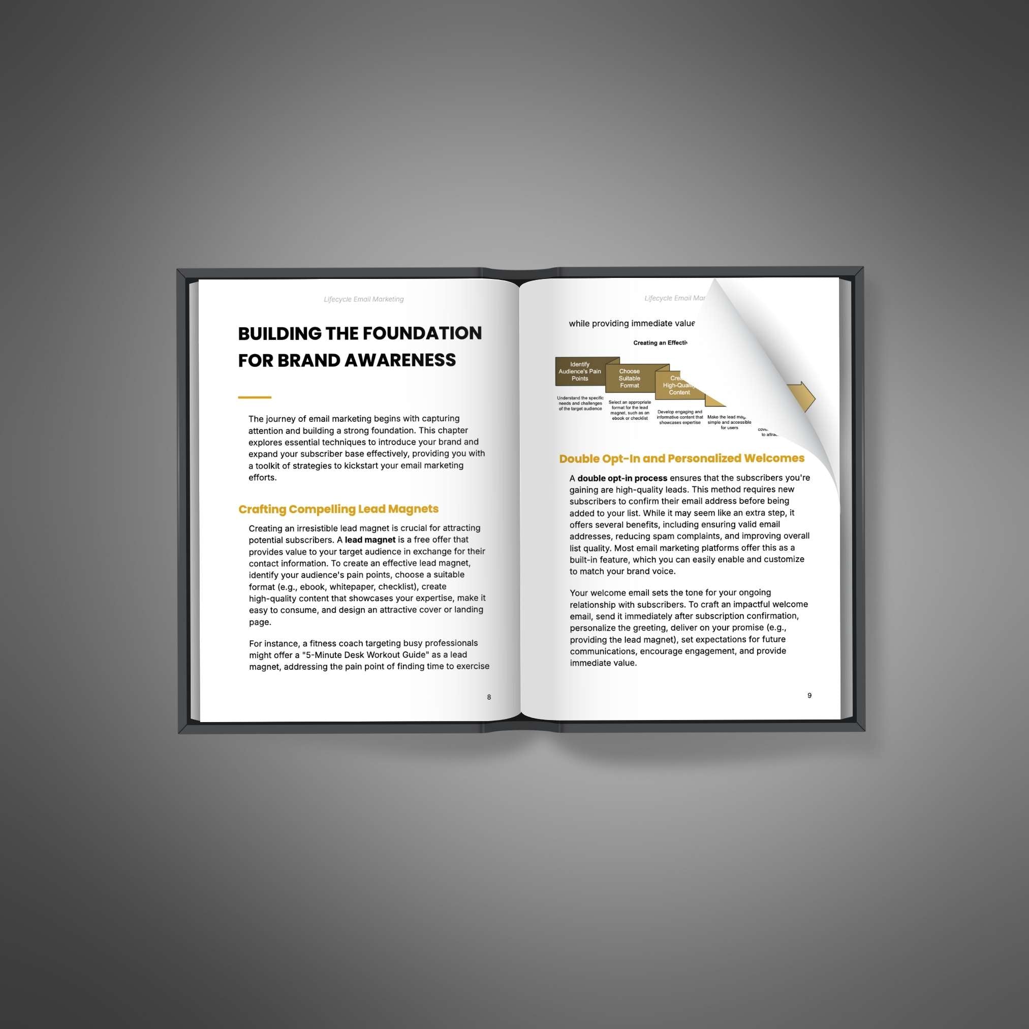 Skillboomer Lifecycle Email Marketing - Ebook