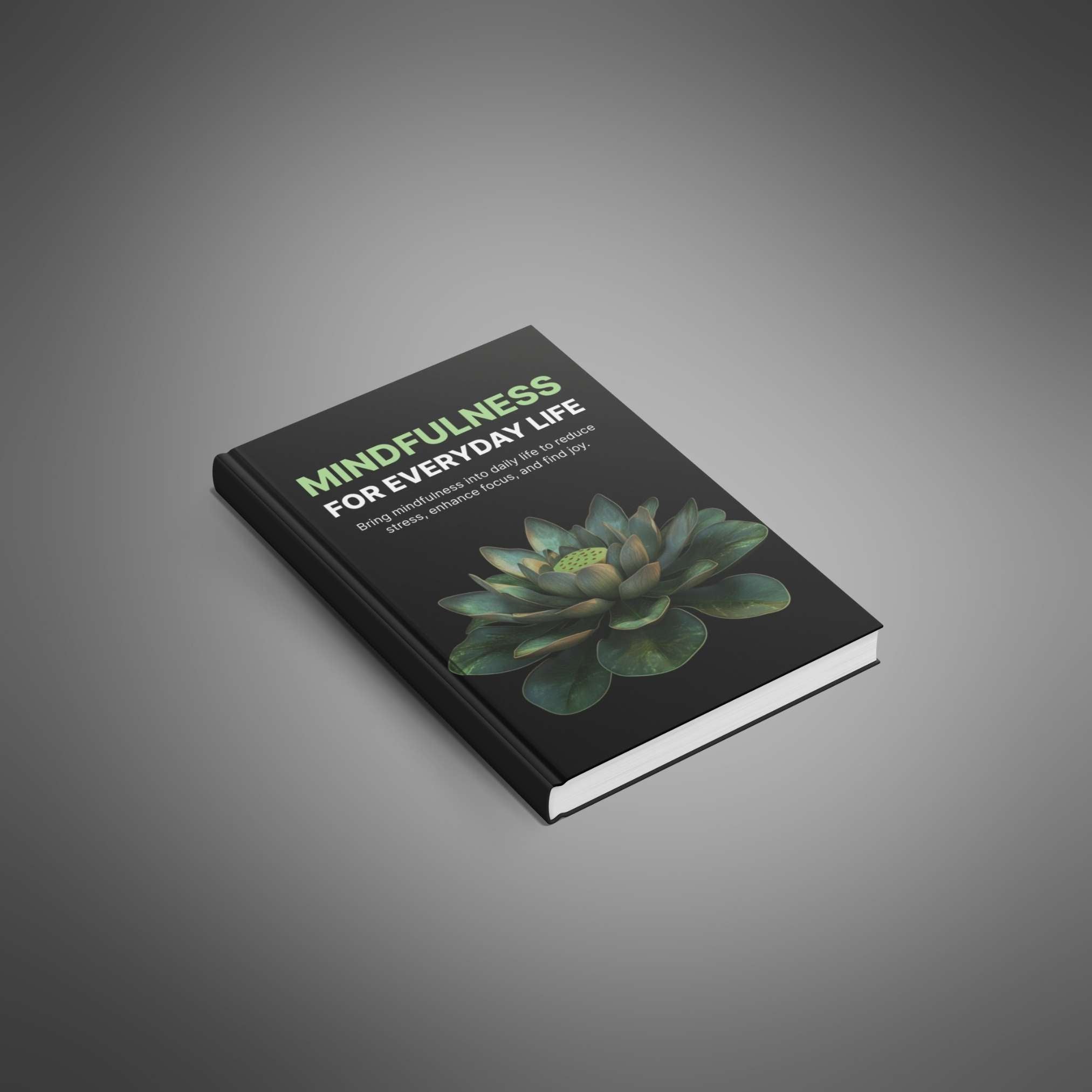 Skillboomer Mindfulness for Everyday Life