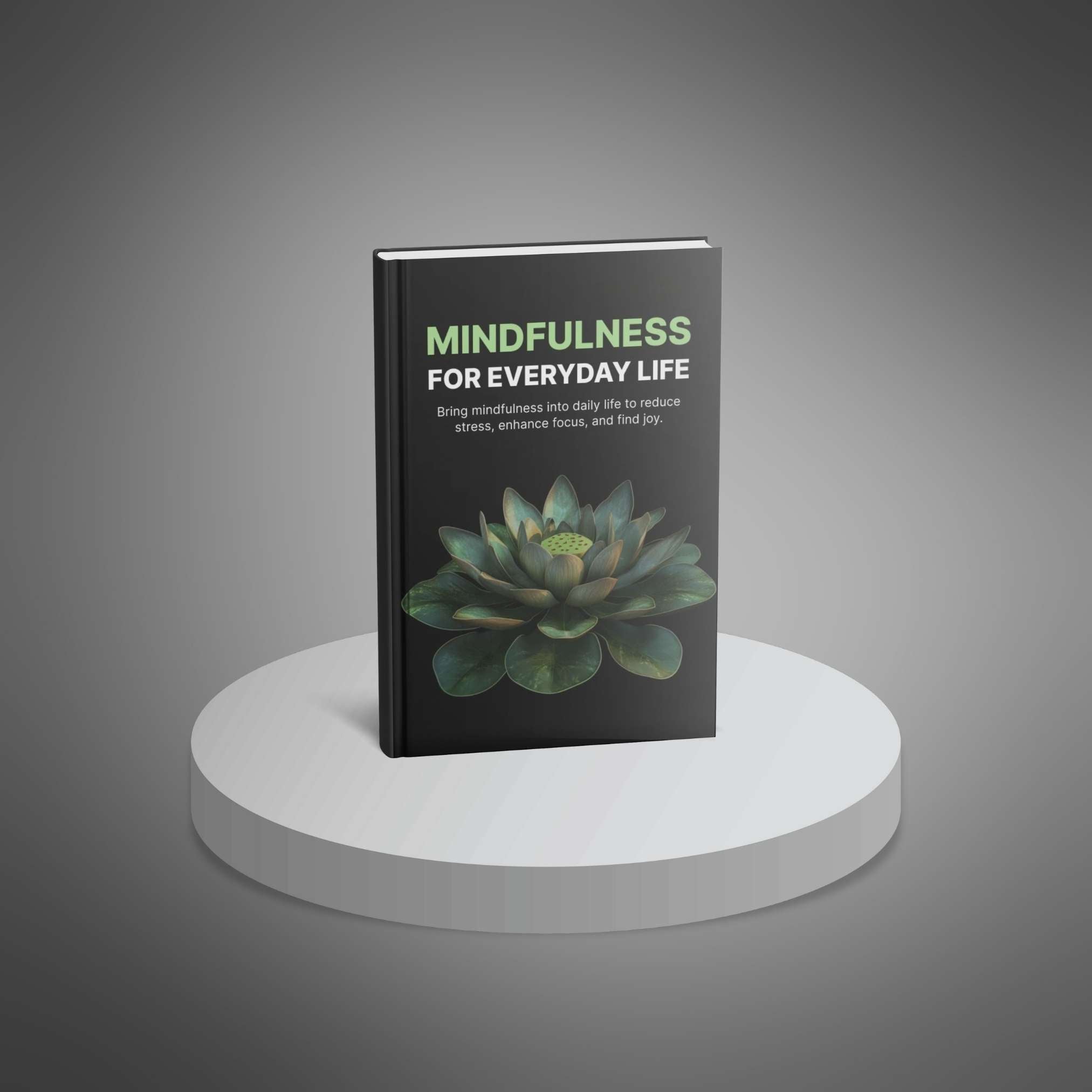 Skillboomer Mindfulness for Everyday Life