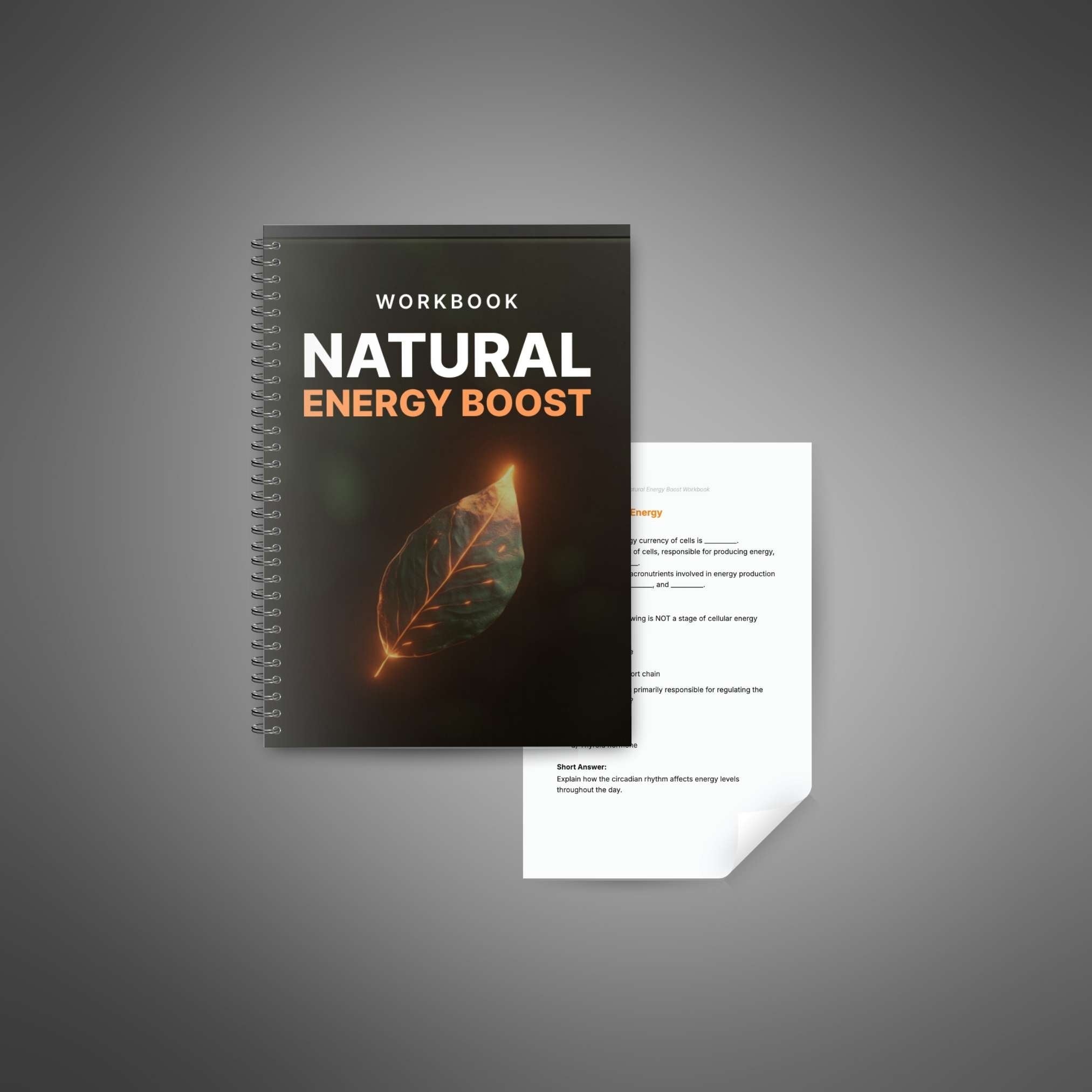Skillboomer Natural Energy Boost - Workbook
