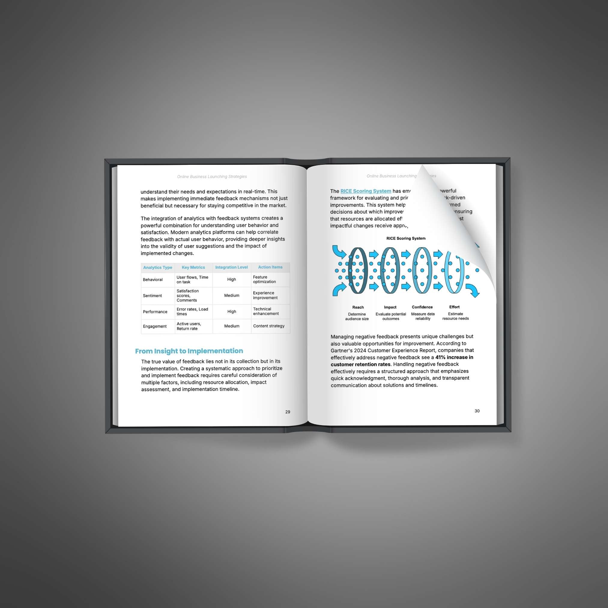 Skillboomer Online Business Launching Strategies - Ebook