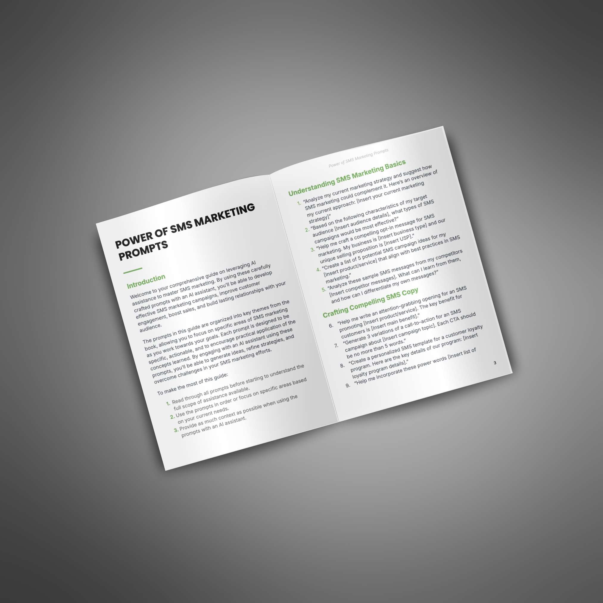 Skillboomer Power of SMS Marketing - Prompts