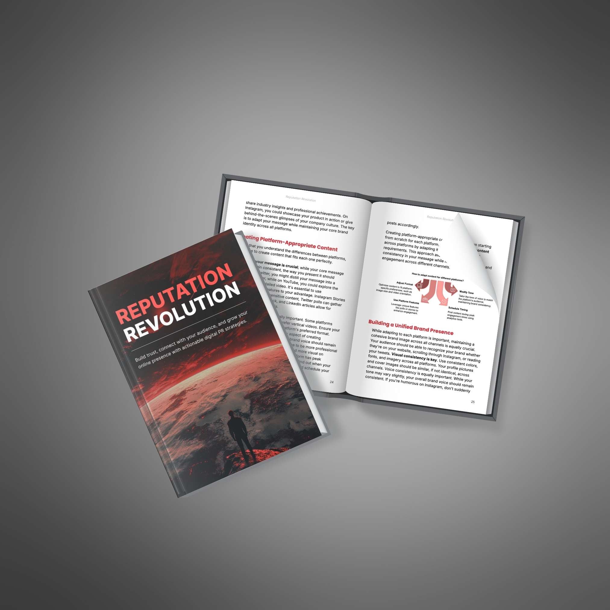Skillboomer Reputation Revolution - Ebook