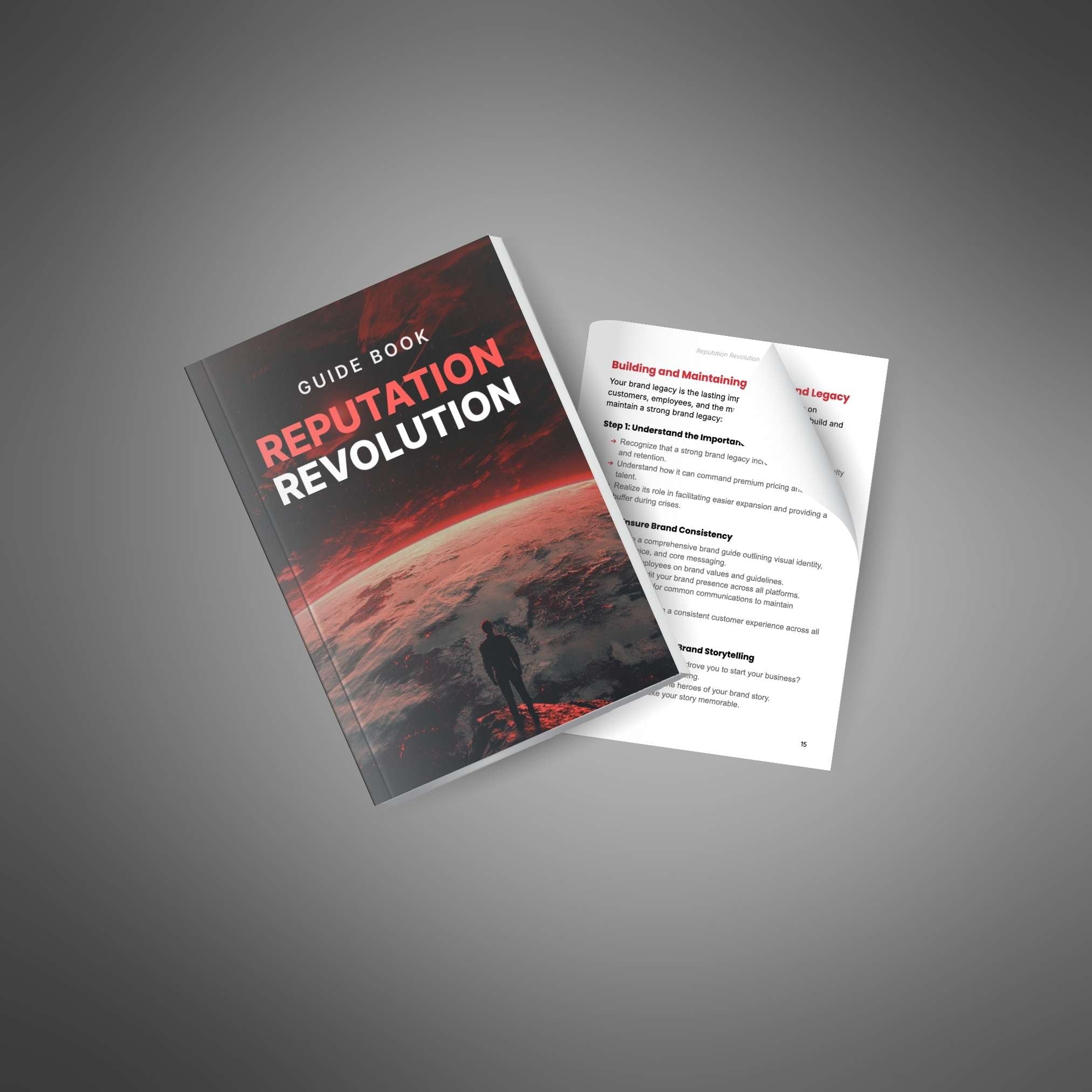 Skillboomer Reputation Revolution - Guide