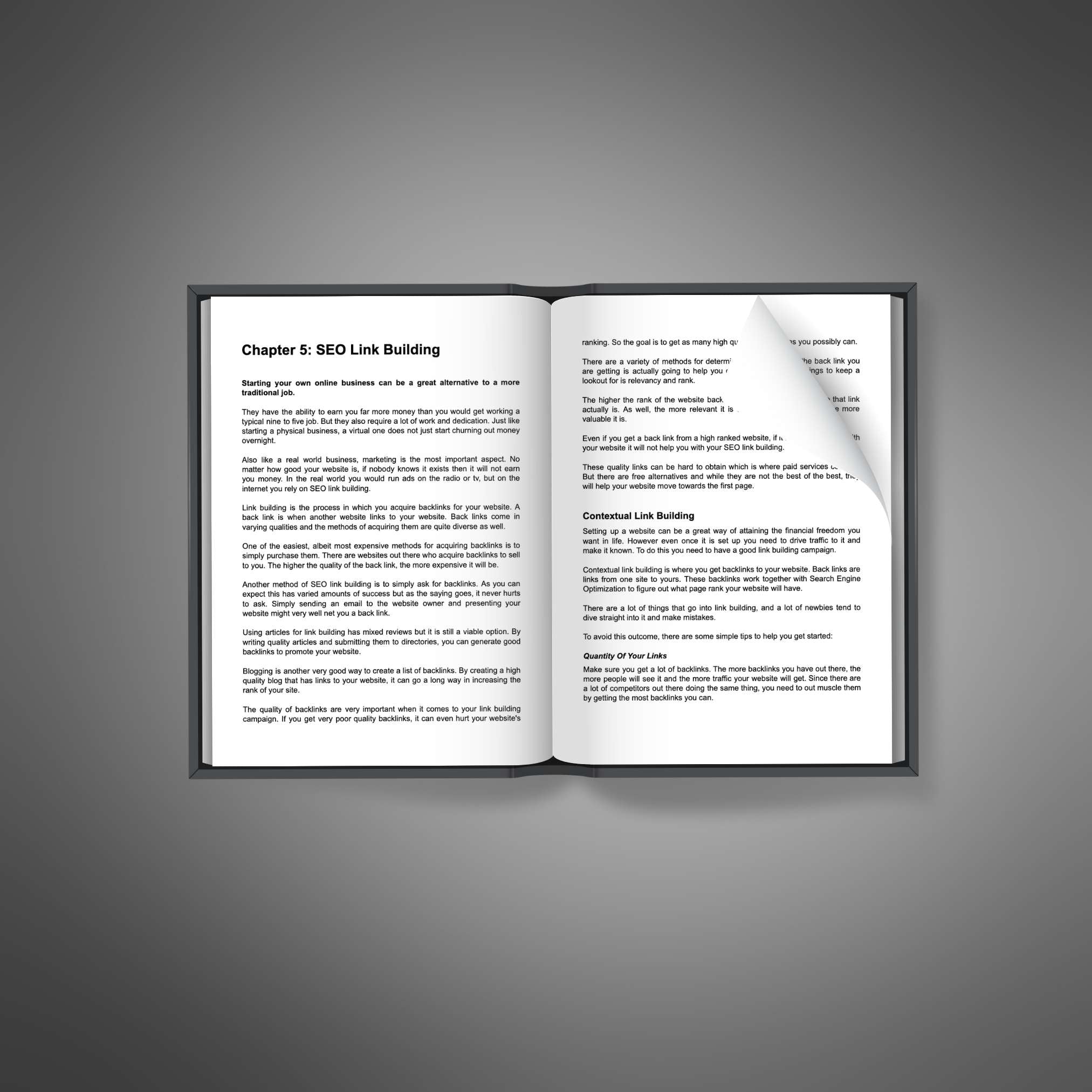Skillboomer Search Engine Optimization
