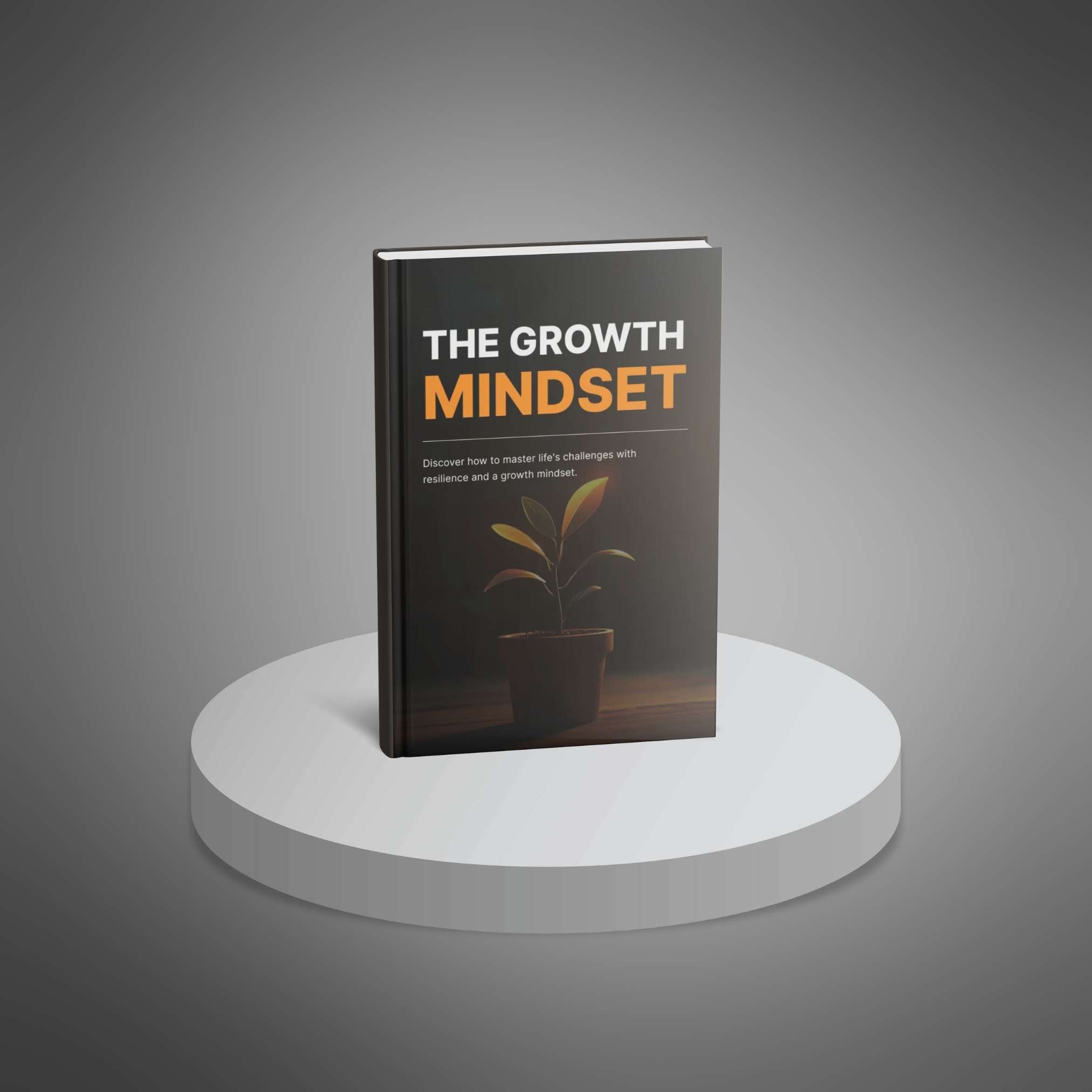 Skillboomer The Growth Mindset
