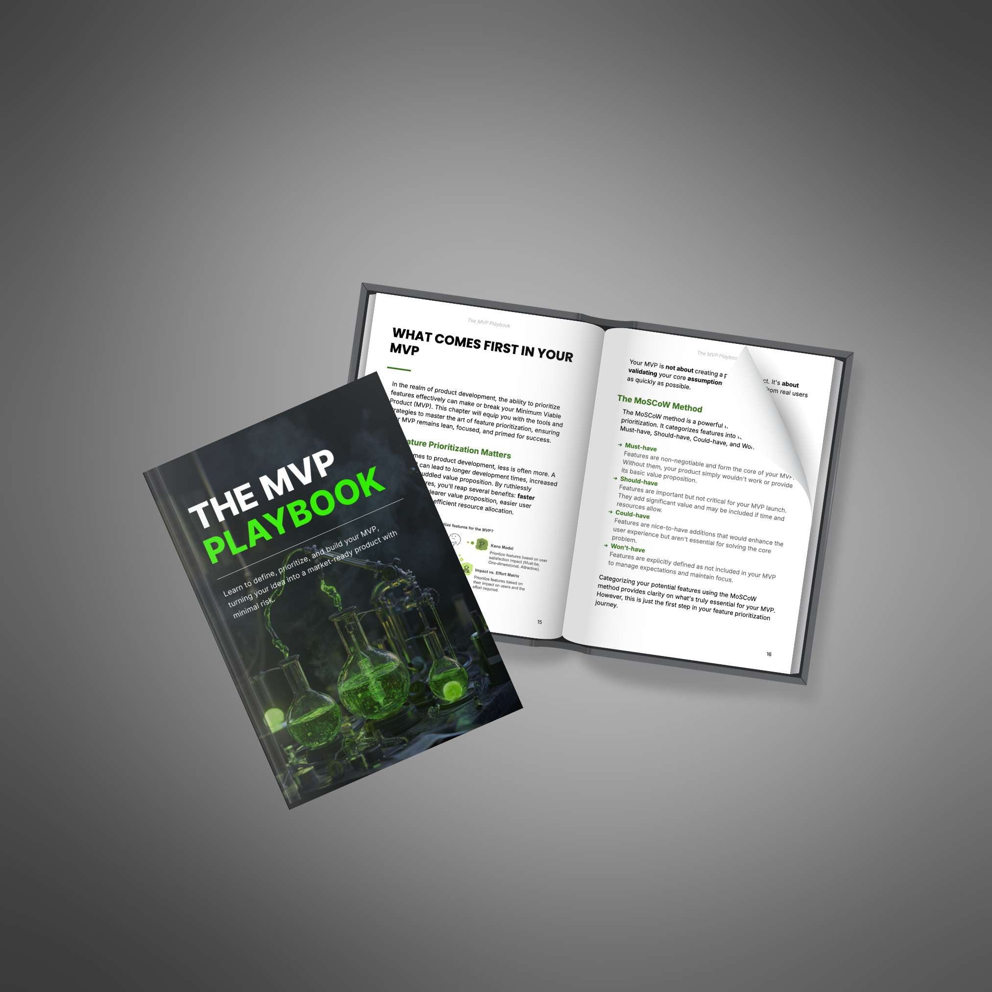 Skillboomer The MVP Playbook - Ebook