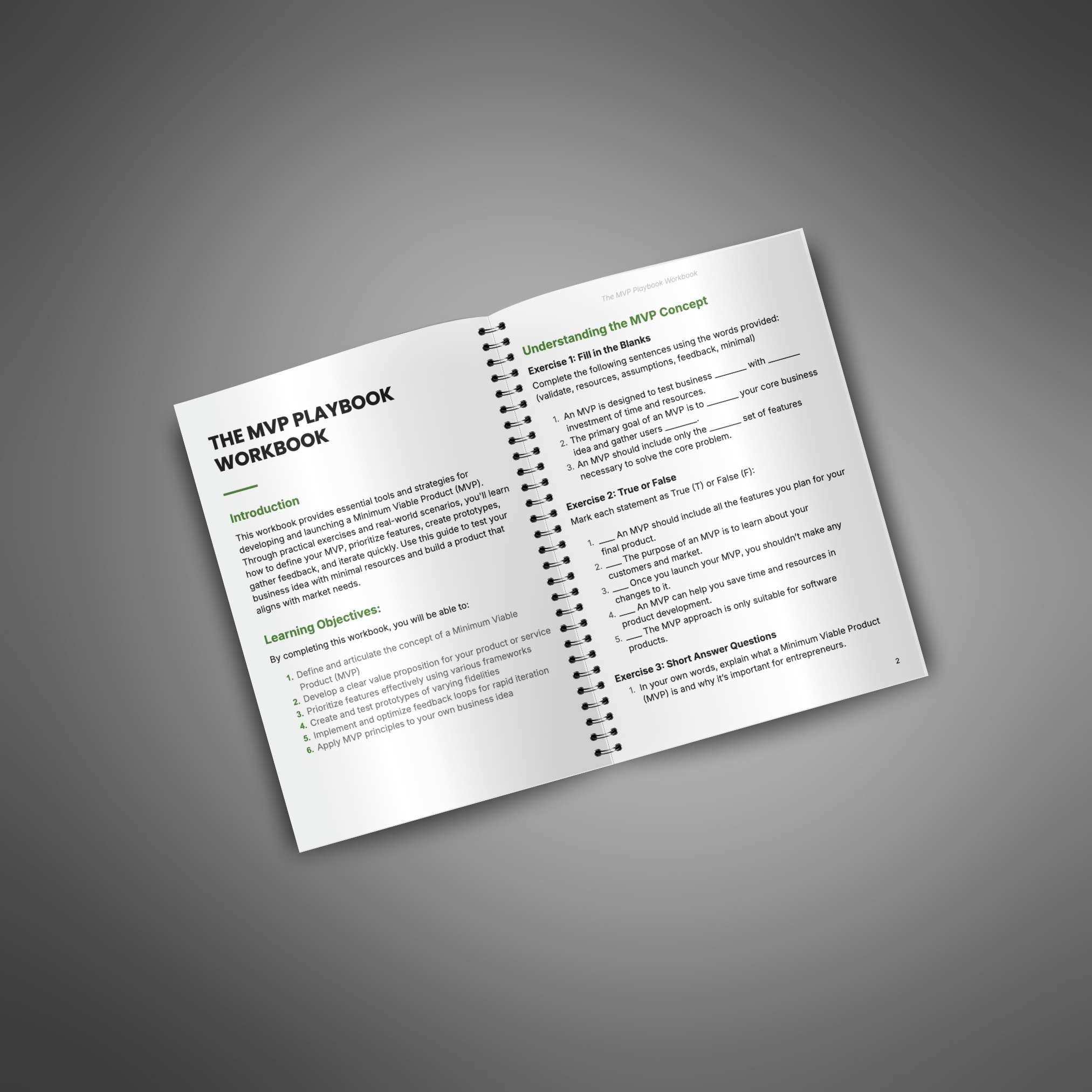 Skillboomer The MVP Playbook - Workbook