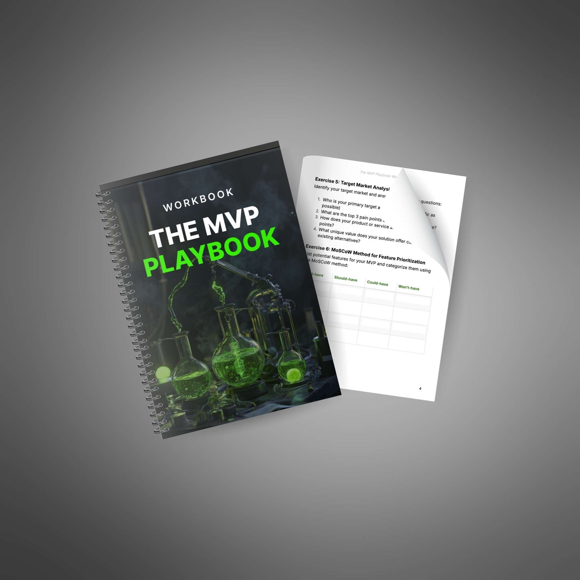 Skillboomer The MVP Playbook - Workbook
