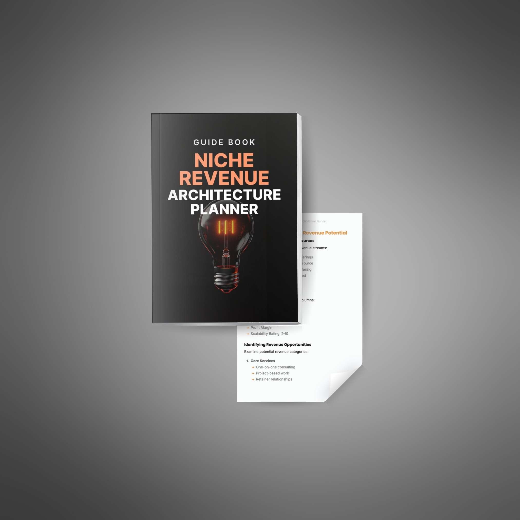Skillboomer The Niche Revenue Architecture Planner