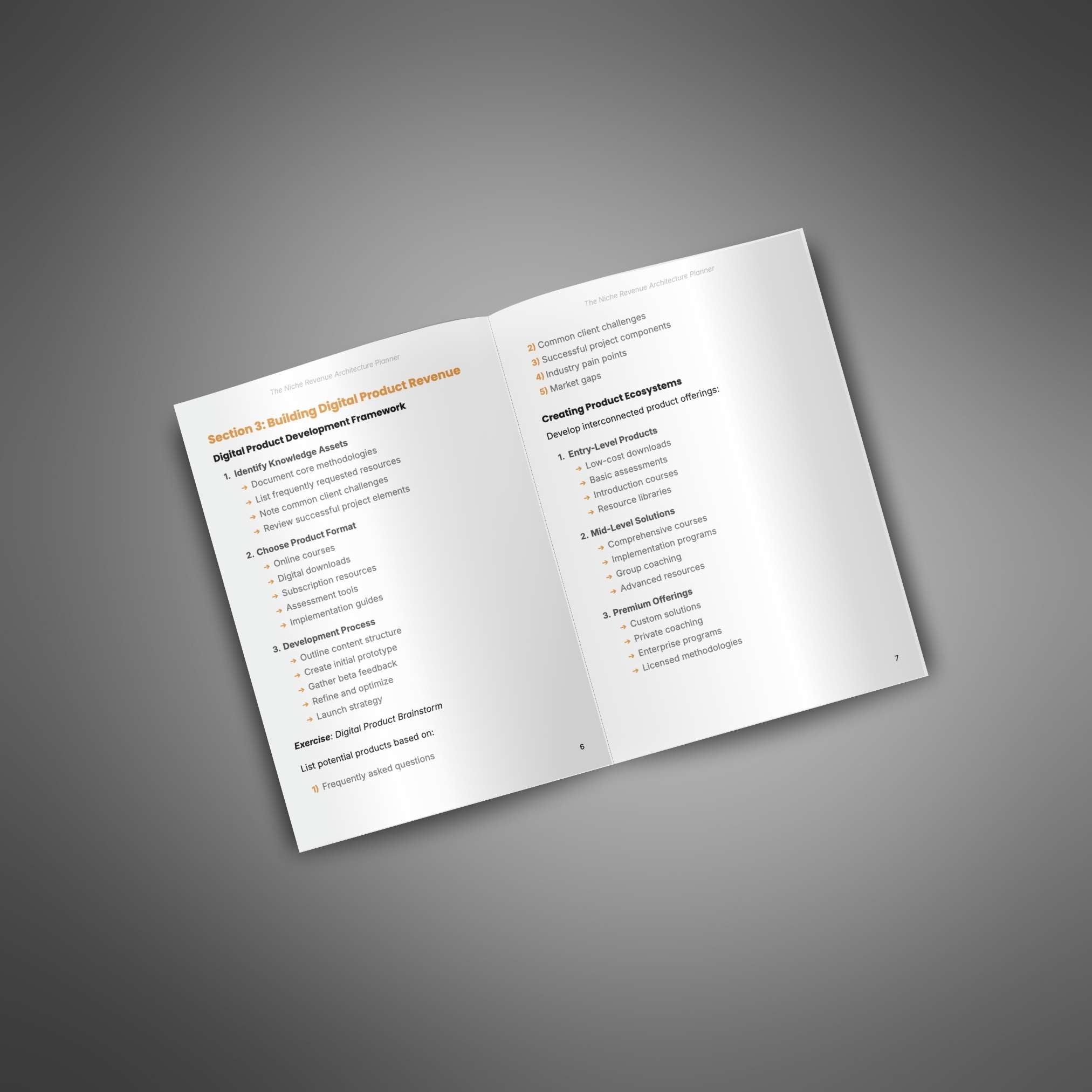 Skillboomer The Niche Revenue Architecture Planner