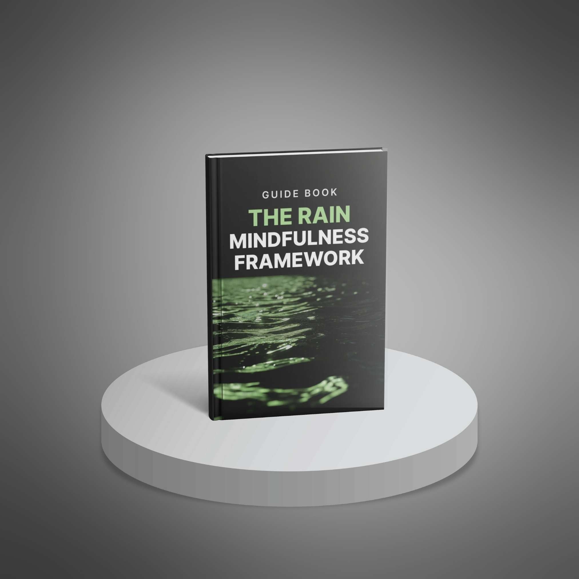 Skillboomer The RAIN Mindfulness Framework