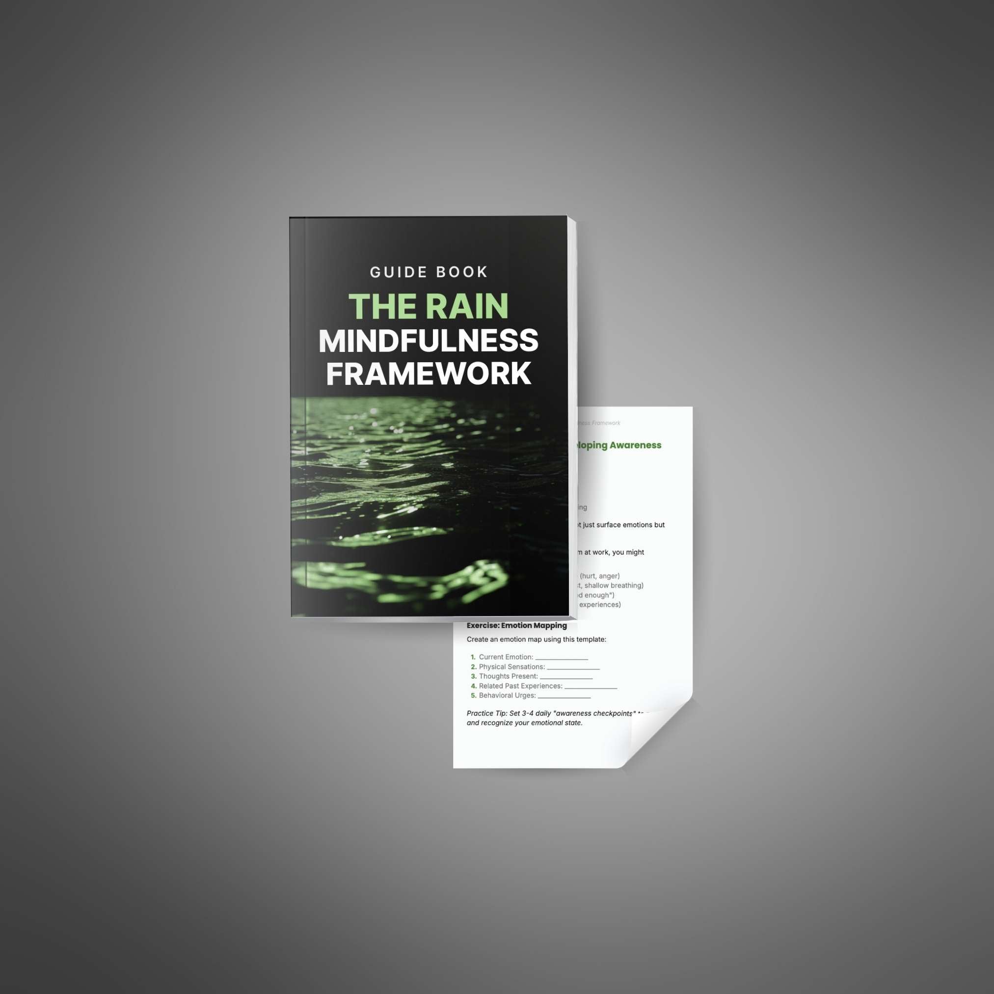 Skillboomer The RAIN Mindfulness Framework