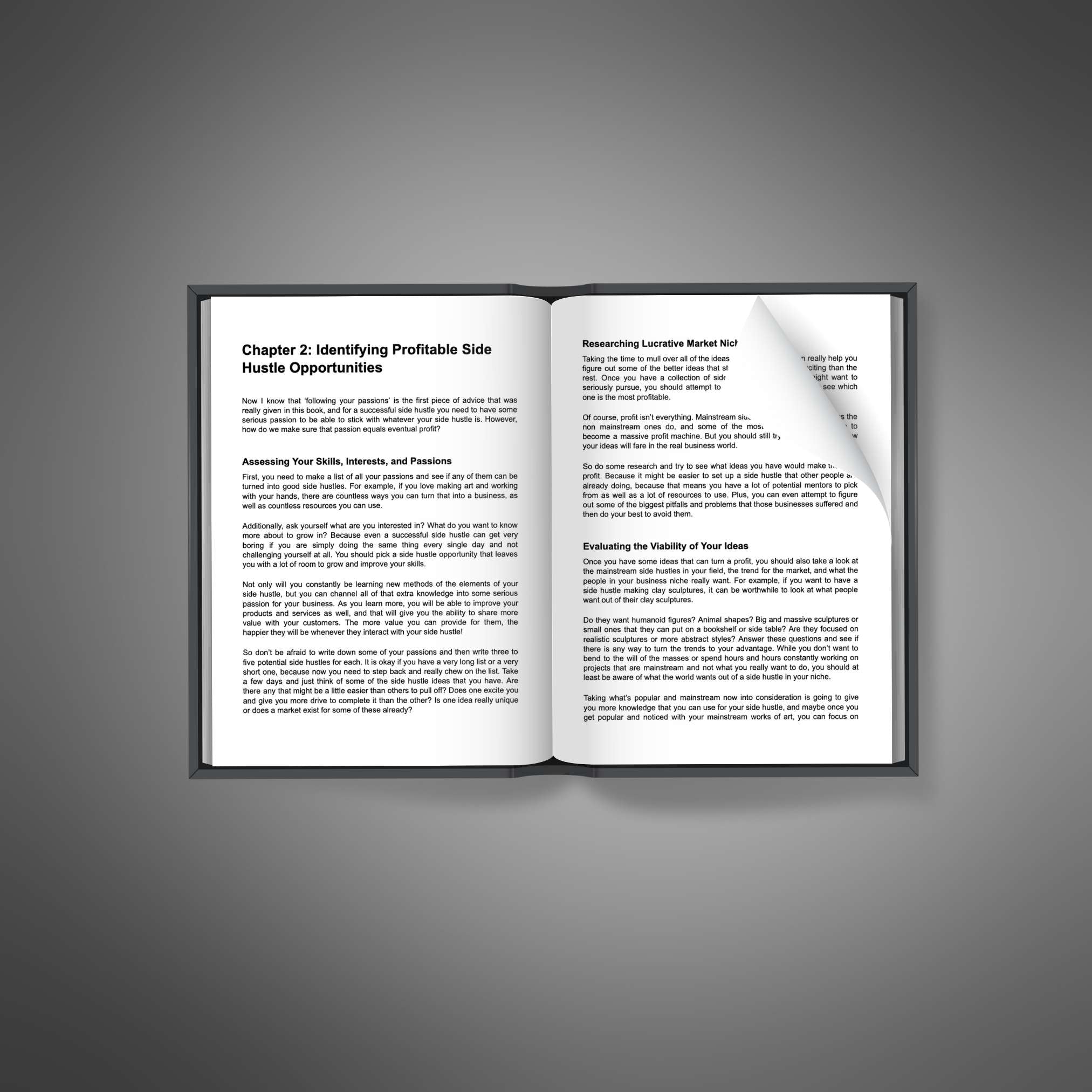 Skillboomer The Side Hustlers Blueprint