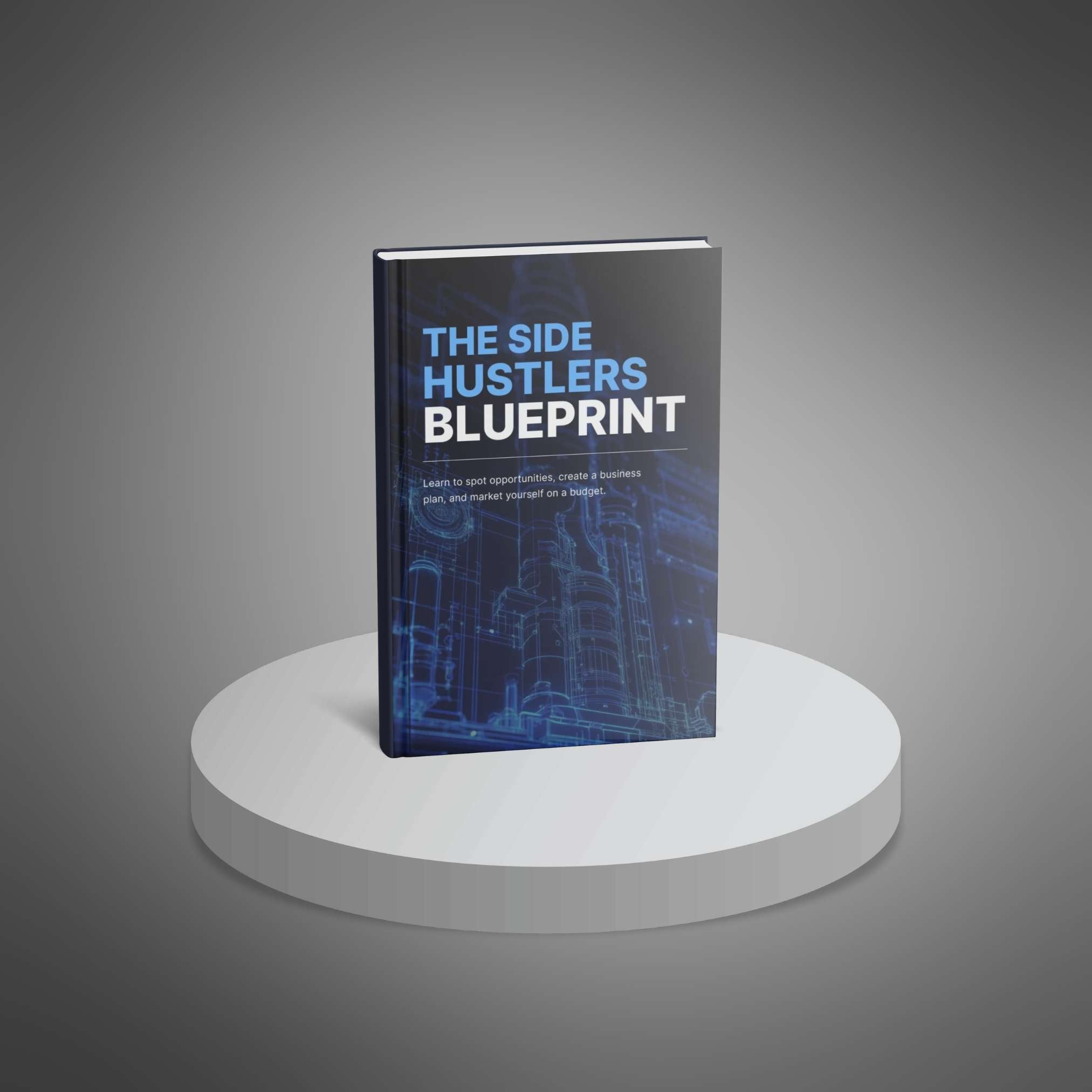 Skillboomer The Side Hustlers Blueprint
