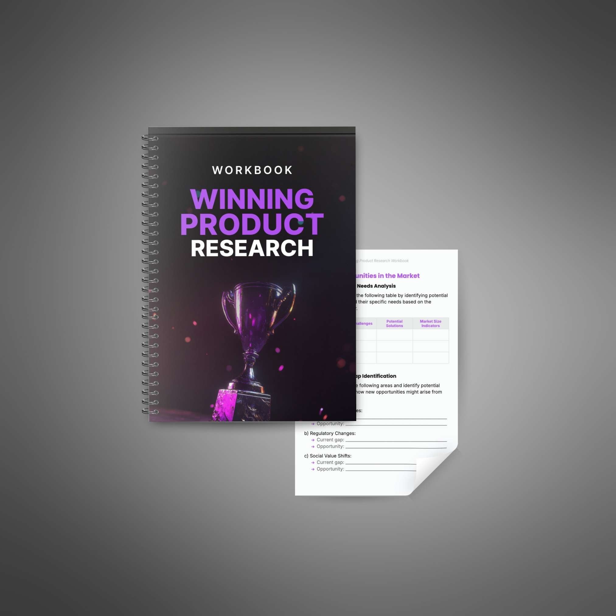 Skillboomer Winning Product Research - Workbook