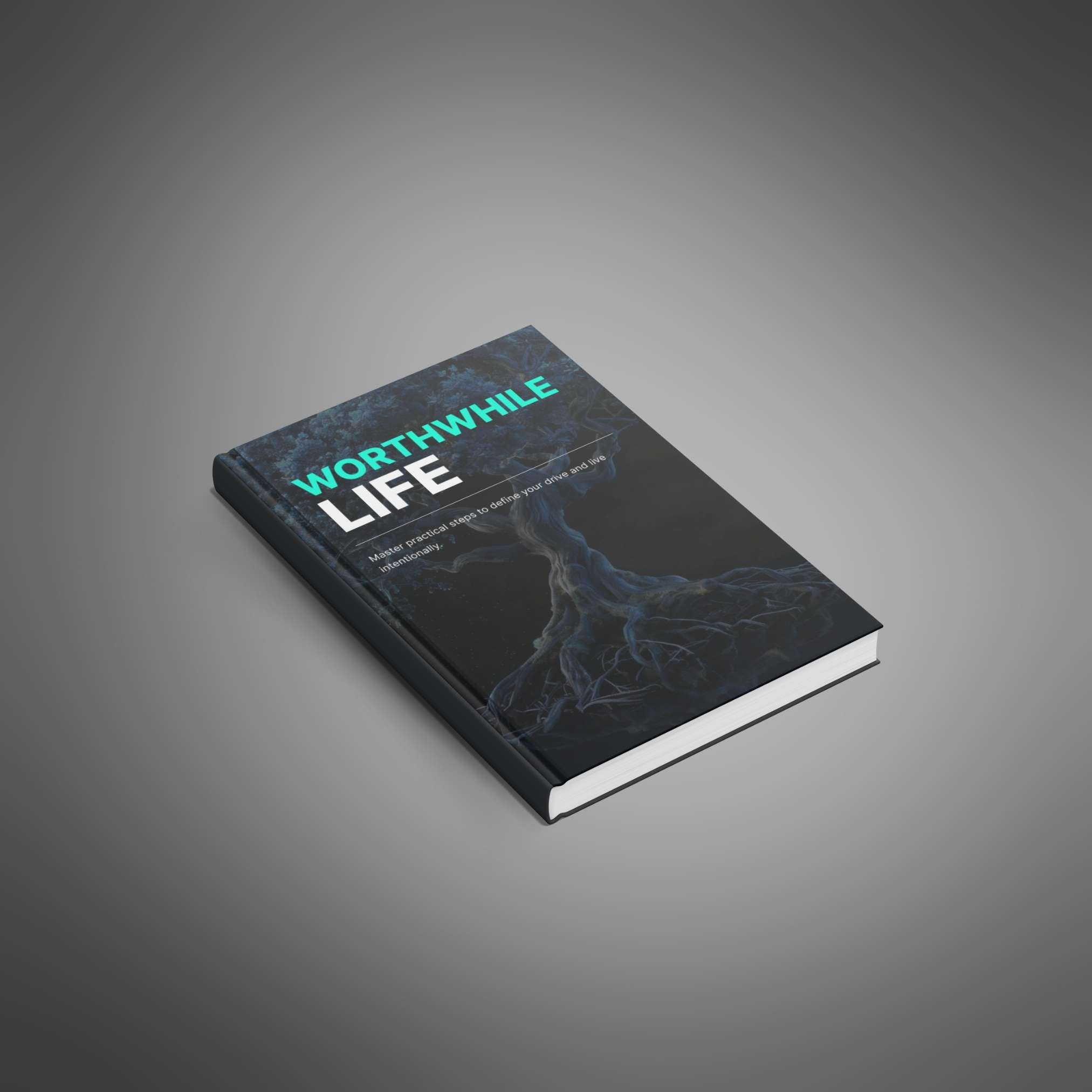 Skillboomer Worthwhile Life