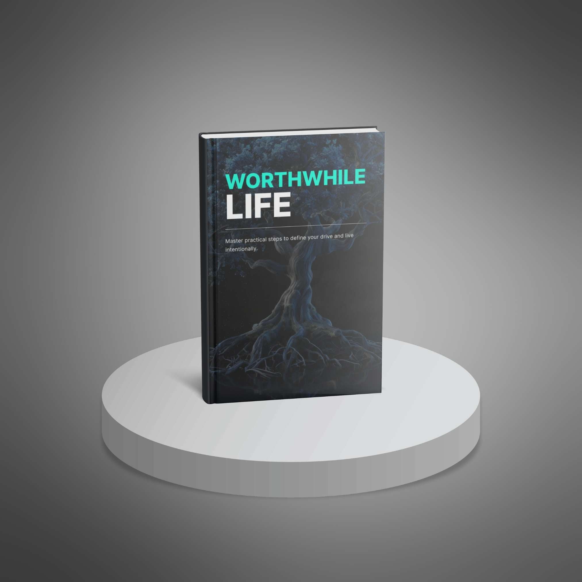 Skillboomer Worthwhile Life