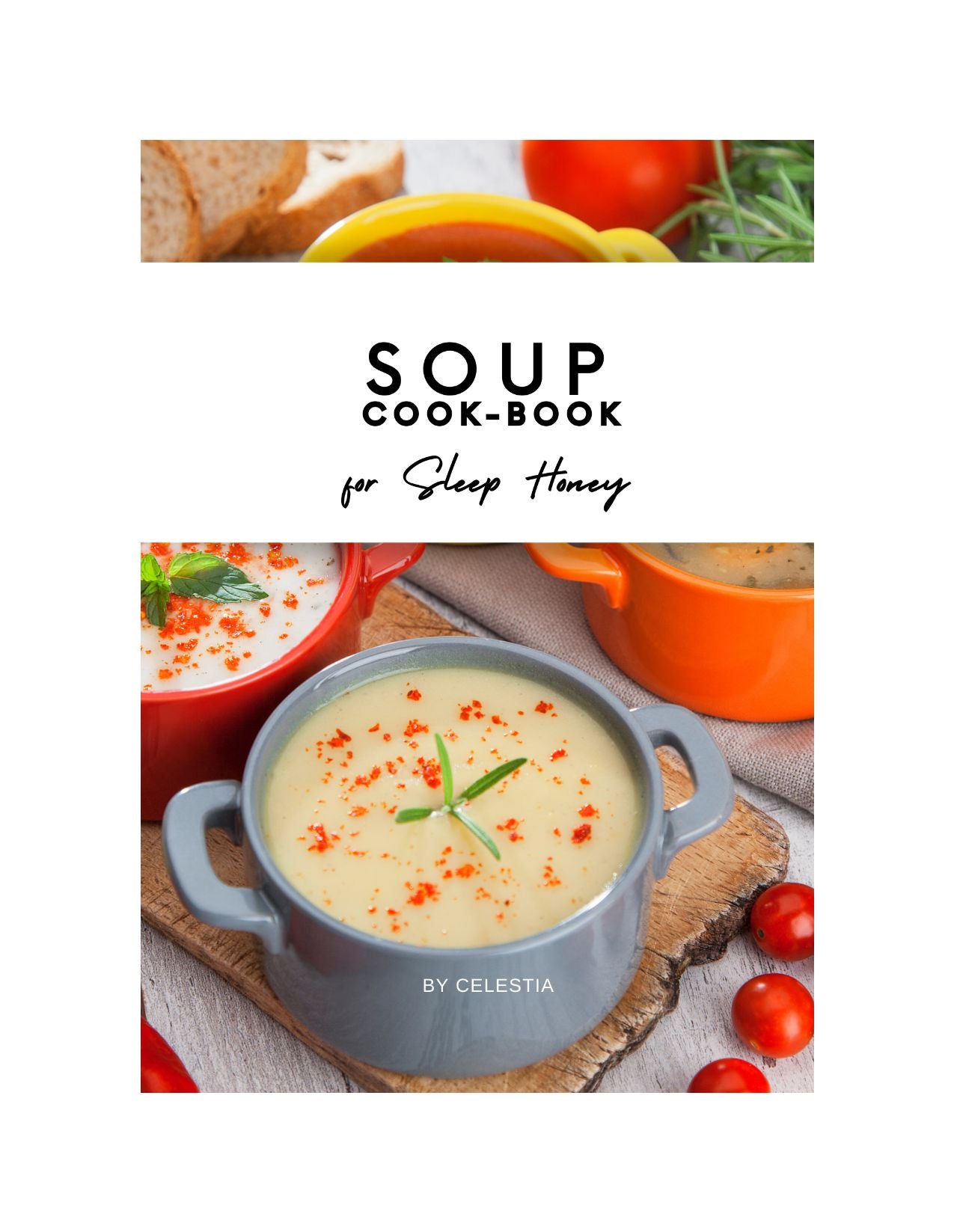 Skillboomer SOUP COOK-BOOK