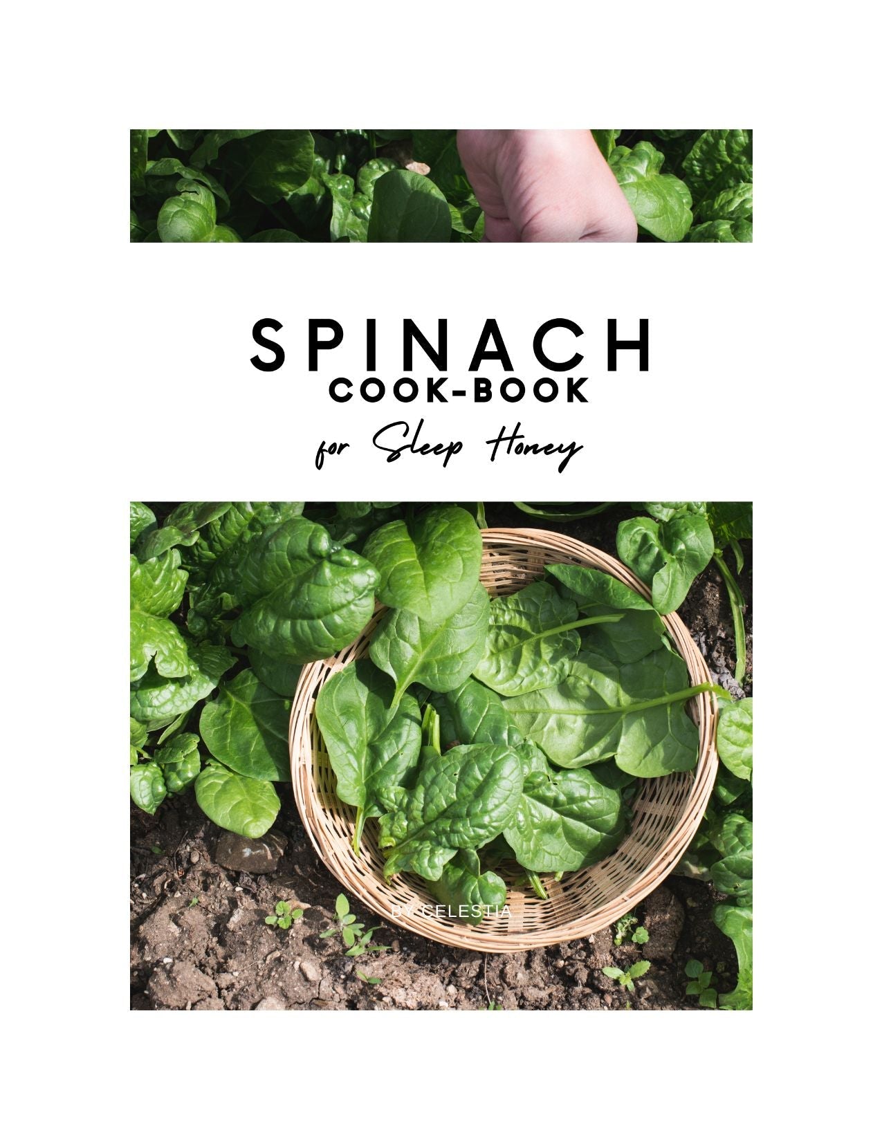 Skillboomer SPINACH COOK-BOOK